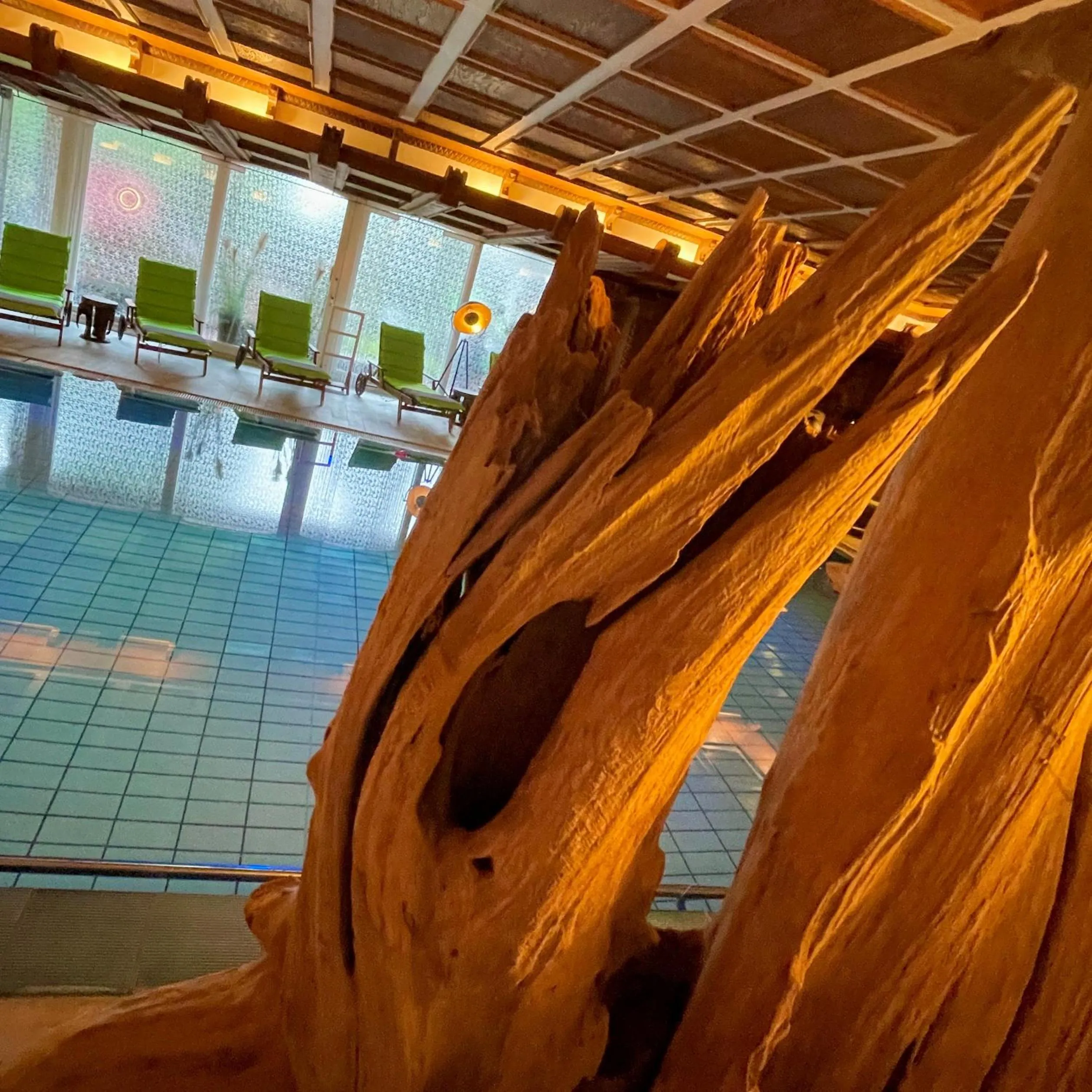 Spa and wellness centre/facilities in Villa am Park