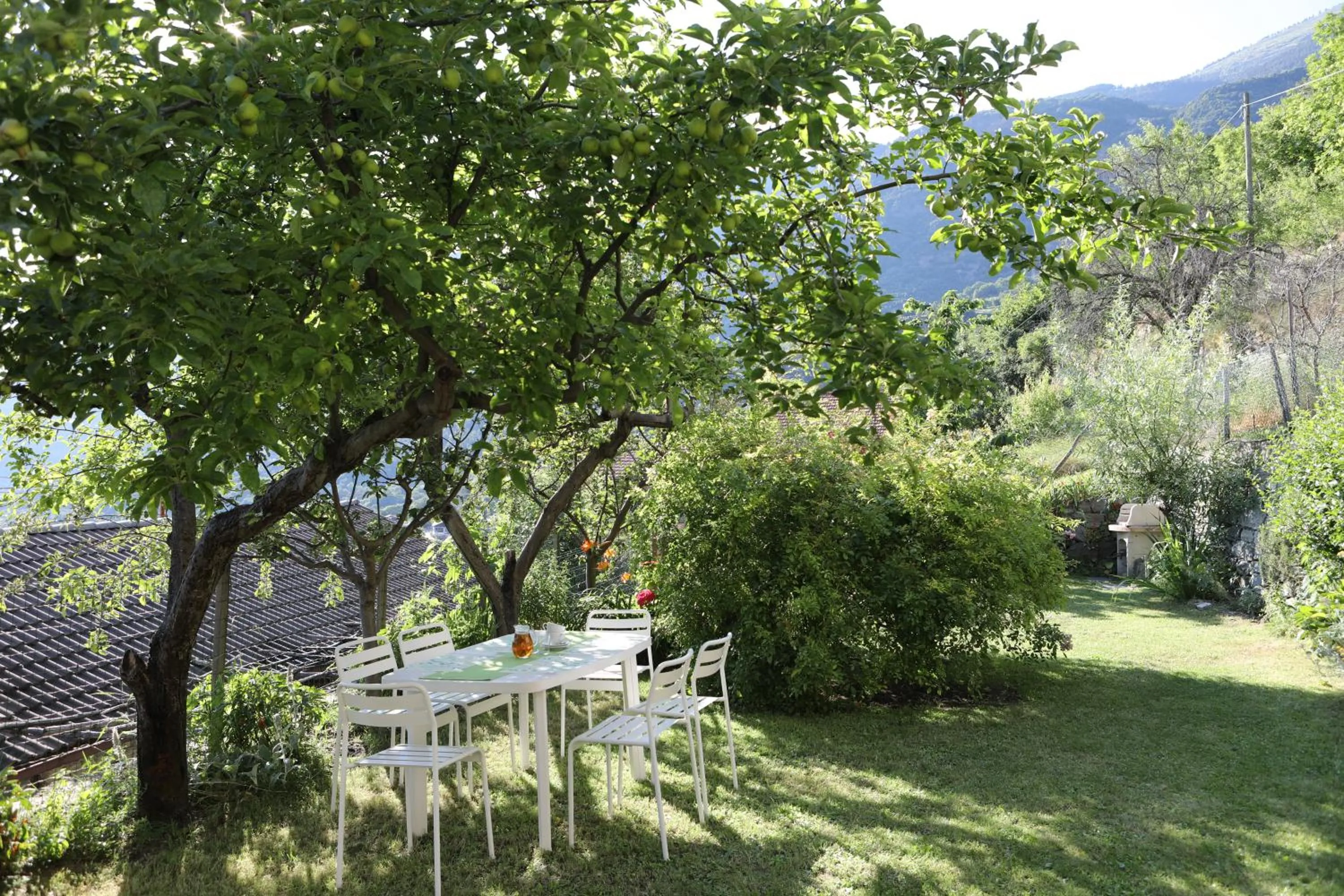 Garden in Le Rosier B&B e Appartamento