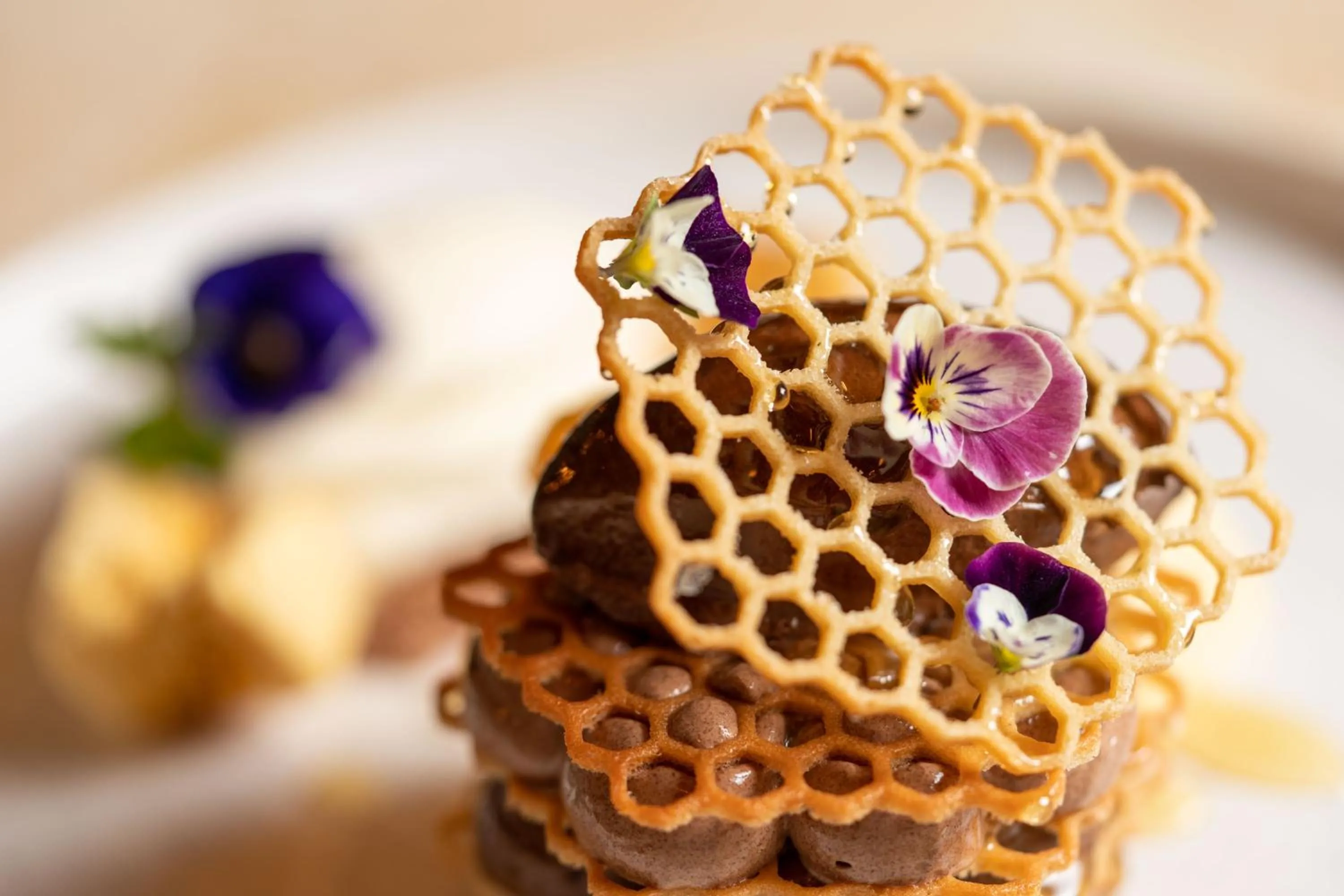 Restaurant/places to eat in No11 Boutique Hotel & Brasserie