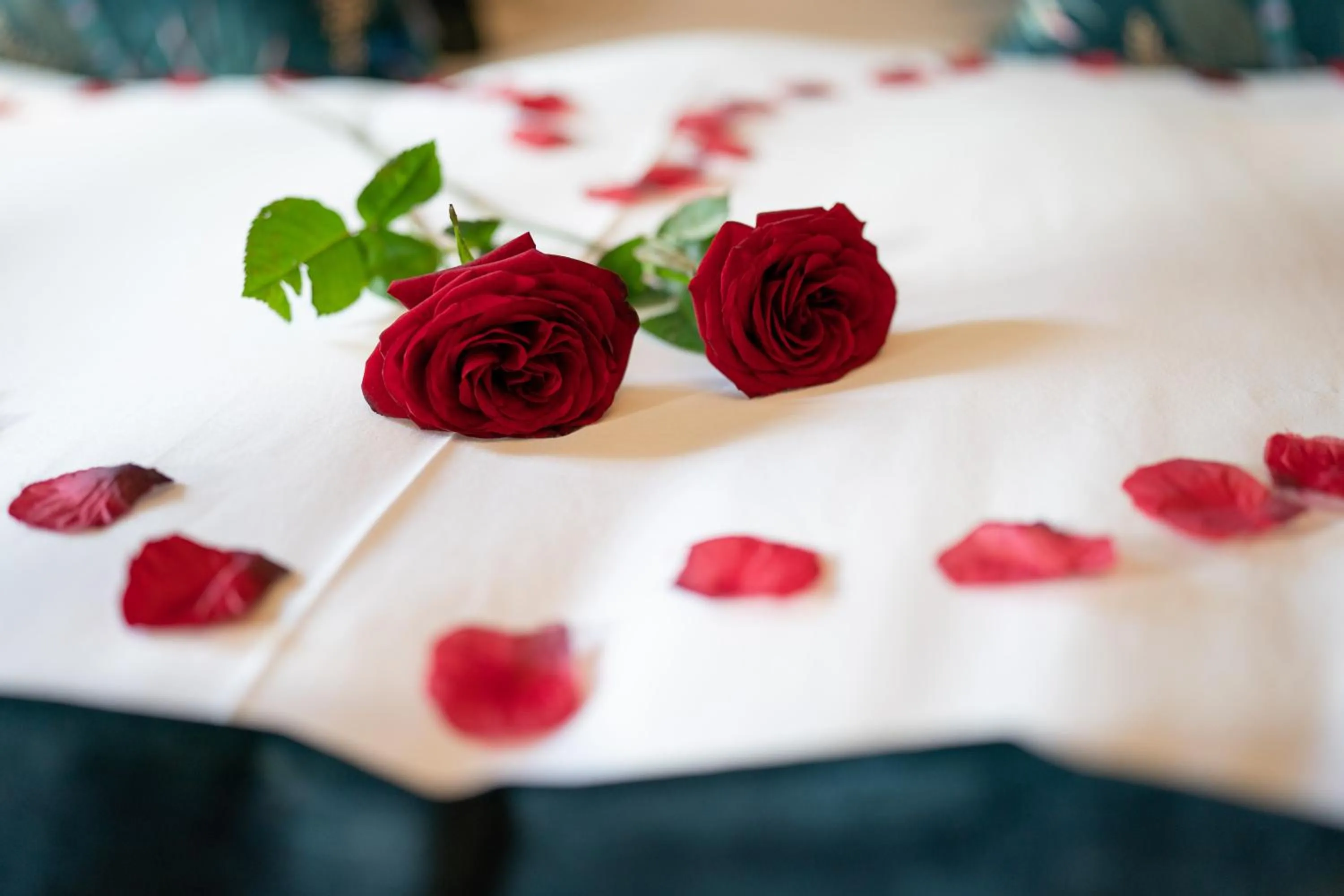 Bed in No11 Boutique Hotel & Brasserie