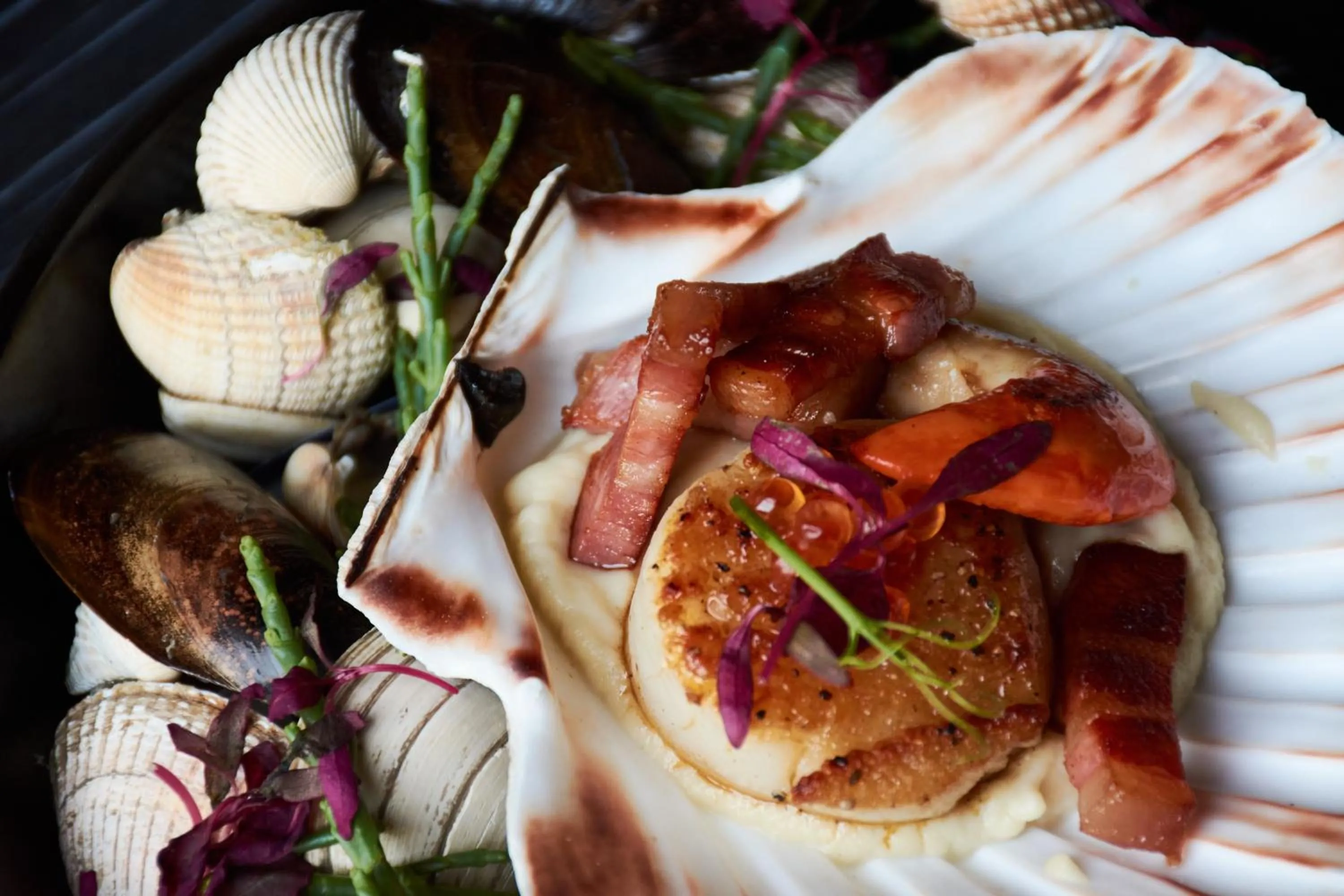 Restaurant/places to eat in No11 Boutique Hotel & Brasserie