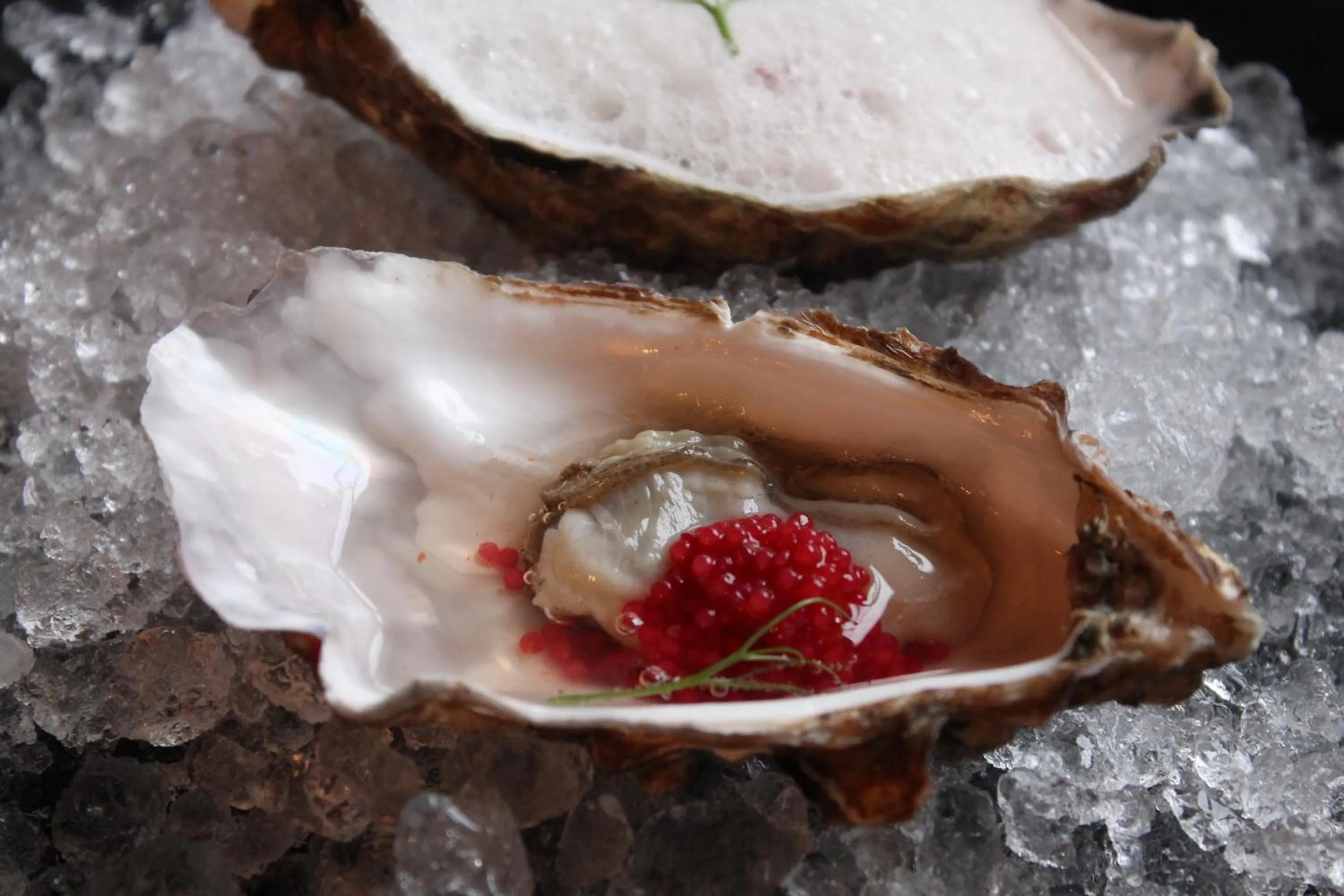 Restaurant/places to eat in No11 Boutique Hotel & Brasserie