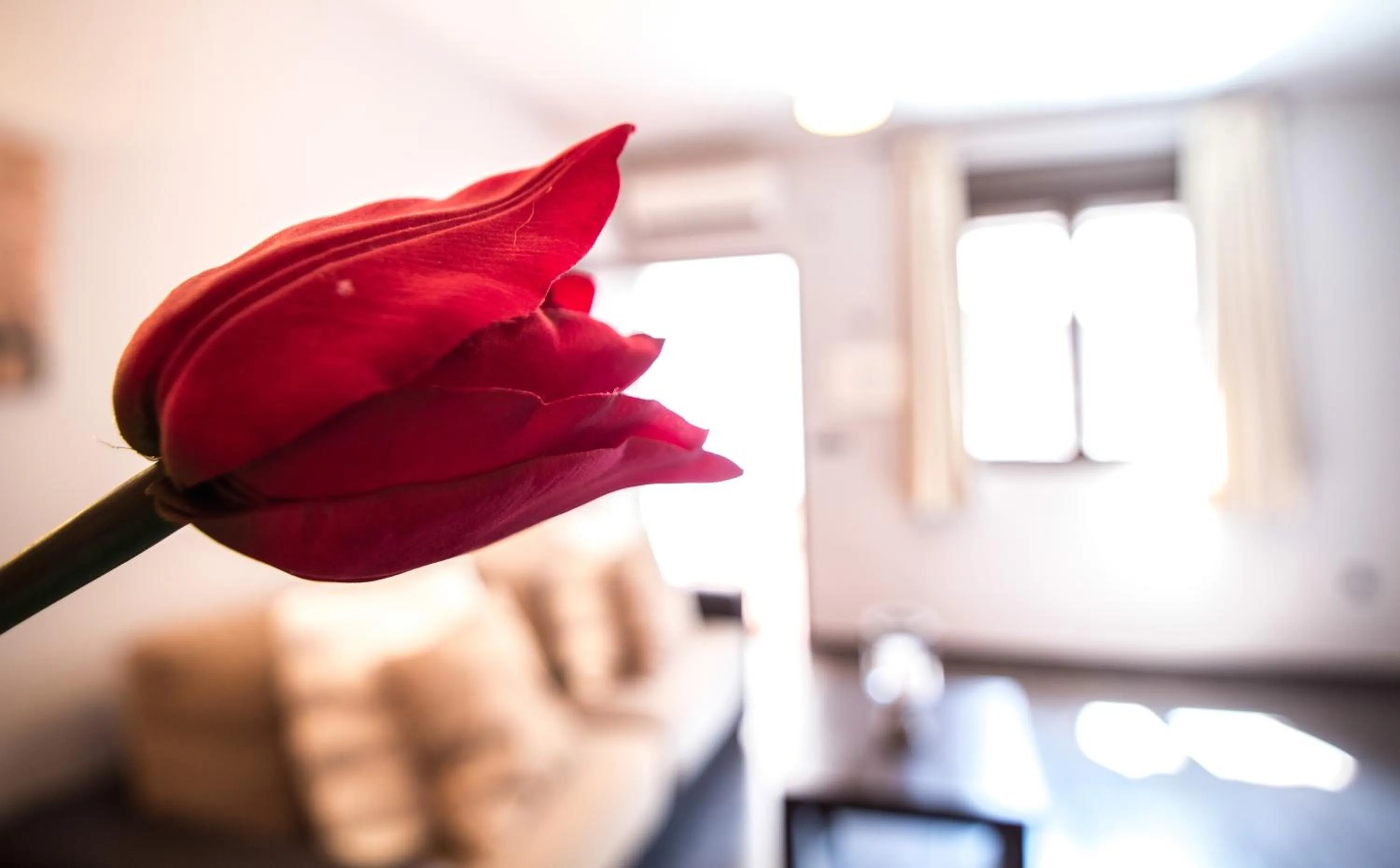 Decorative detail in Alda Apartamentos Muralla de Toledo