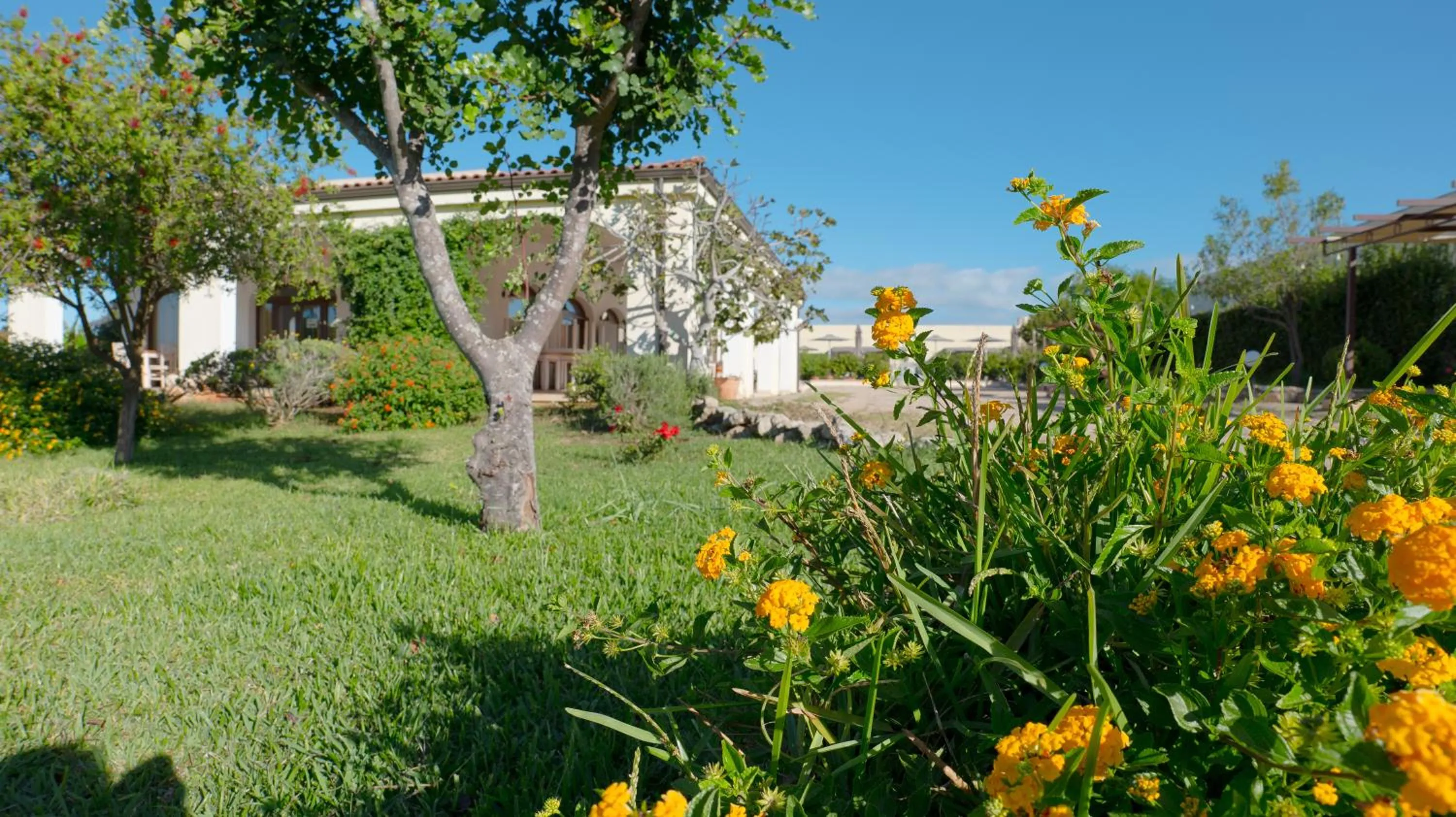 Property building in Delle Rose, Hotel & Horse Riding