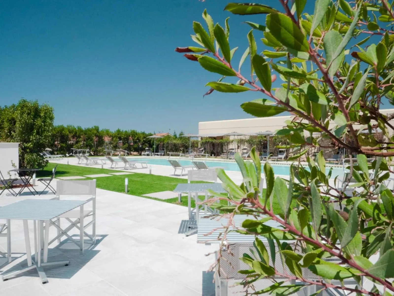 Swimming pool in Delle Rose, Hotel & Horse Riding