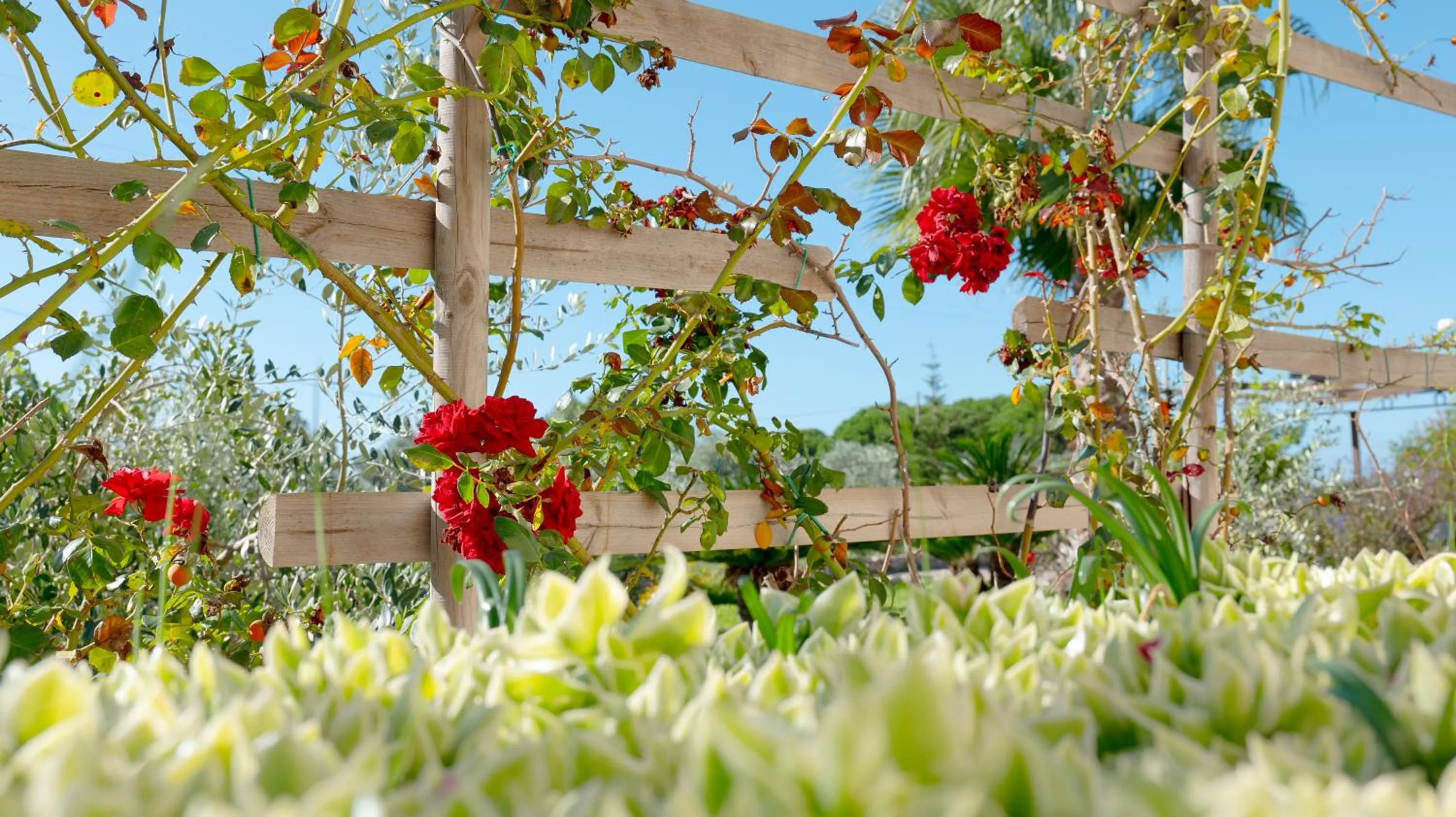 Decorative detail in Delle Rose, Hotel & Horse Riding