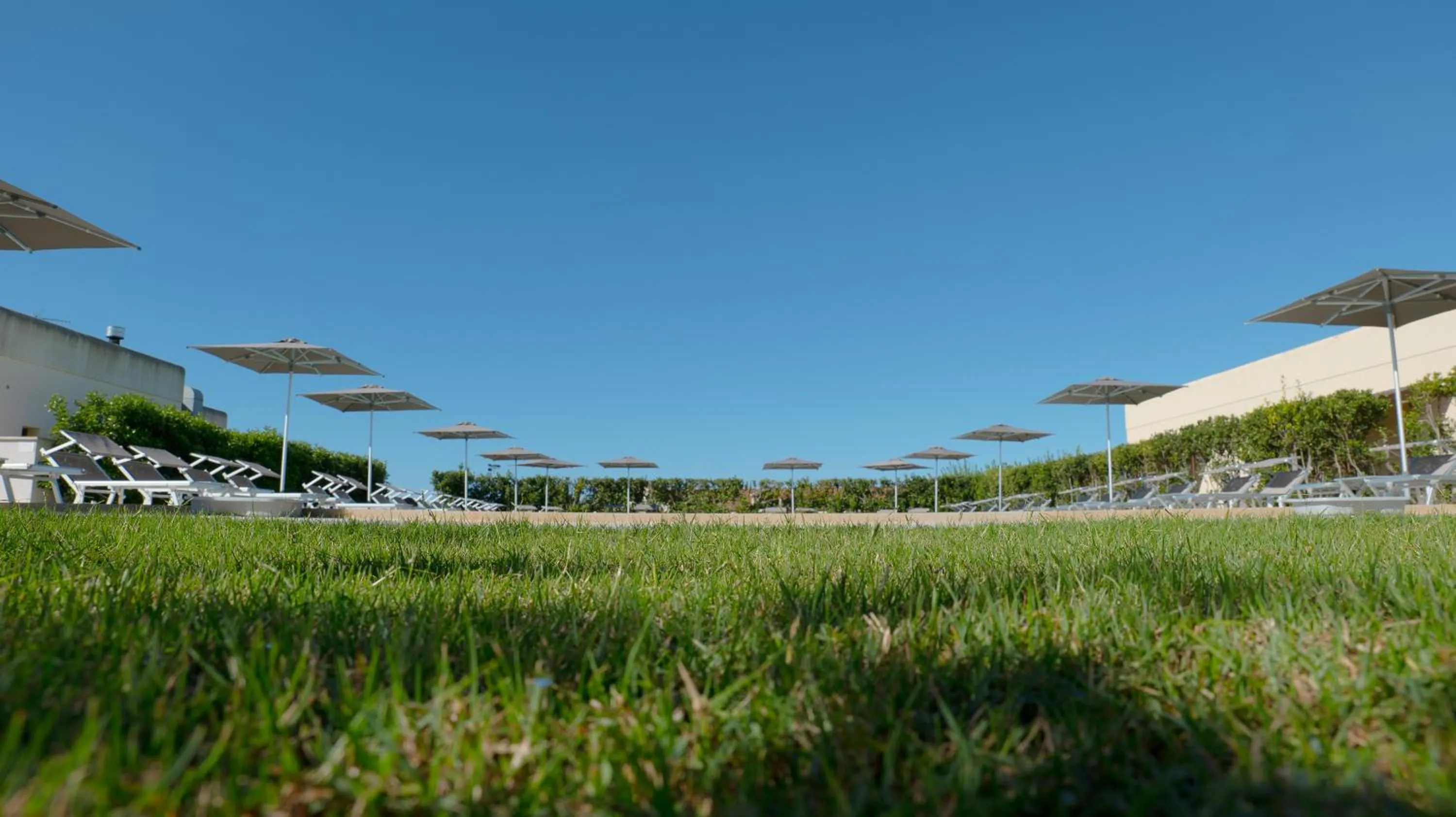 Swimming pool in Delle Rose, Hotel & Horse Riding