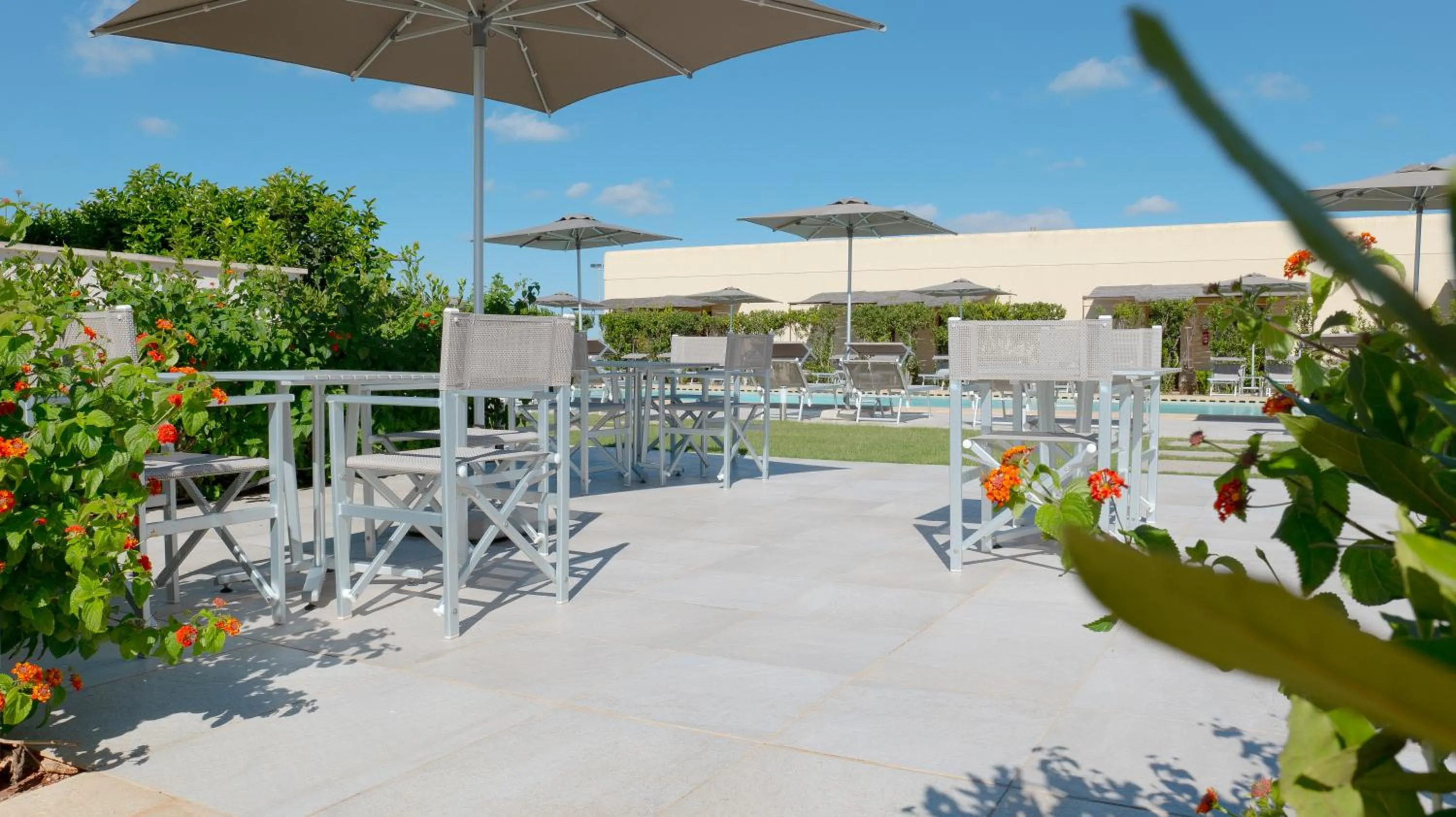 Swimming pool in Delle Rose, Hotel & Horse Riding