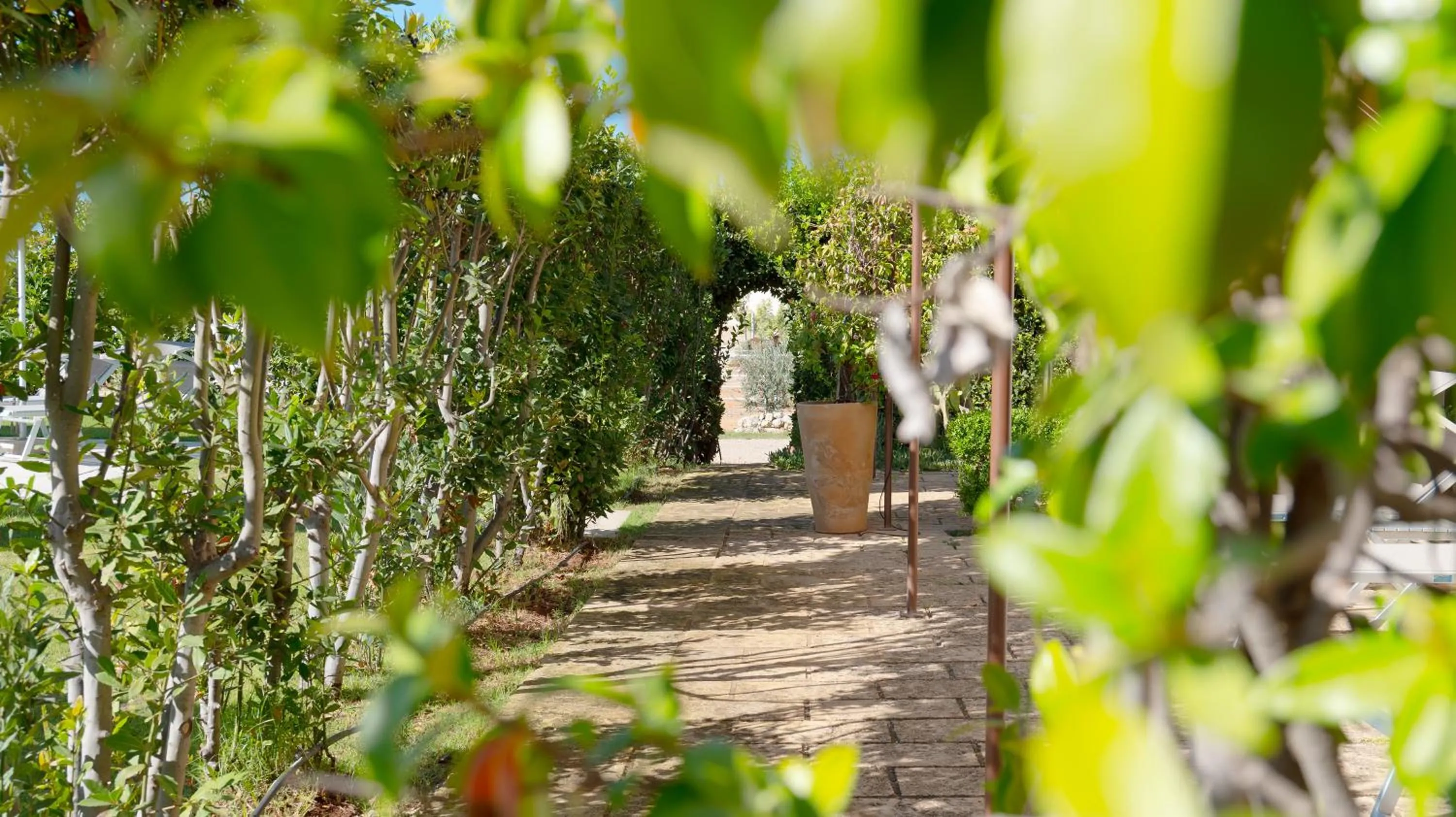 storage in Delle Rose, Hotel & Horse Riding