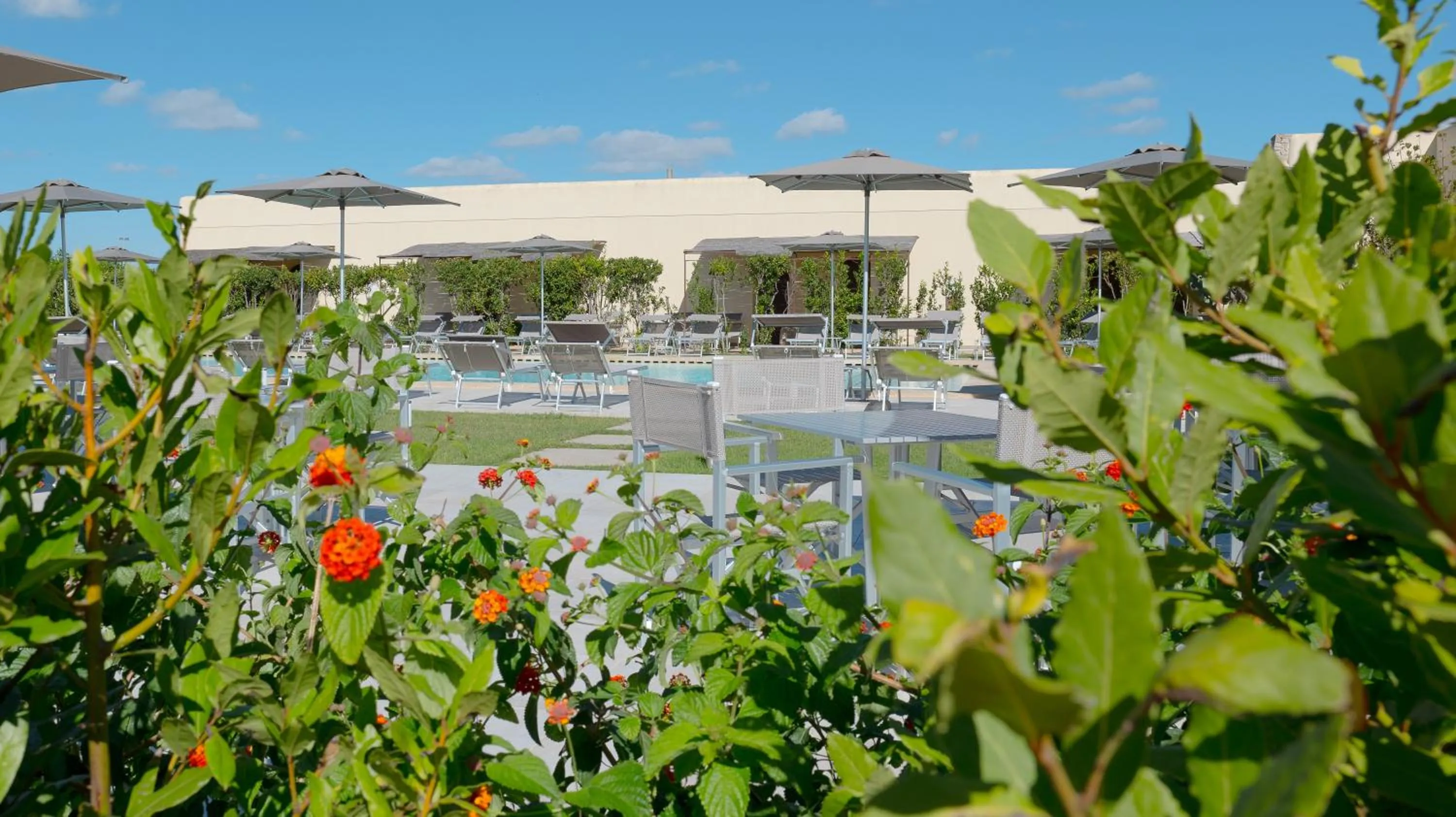 Swimming pool in Delle Rose, Hotel & Horse Riding