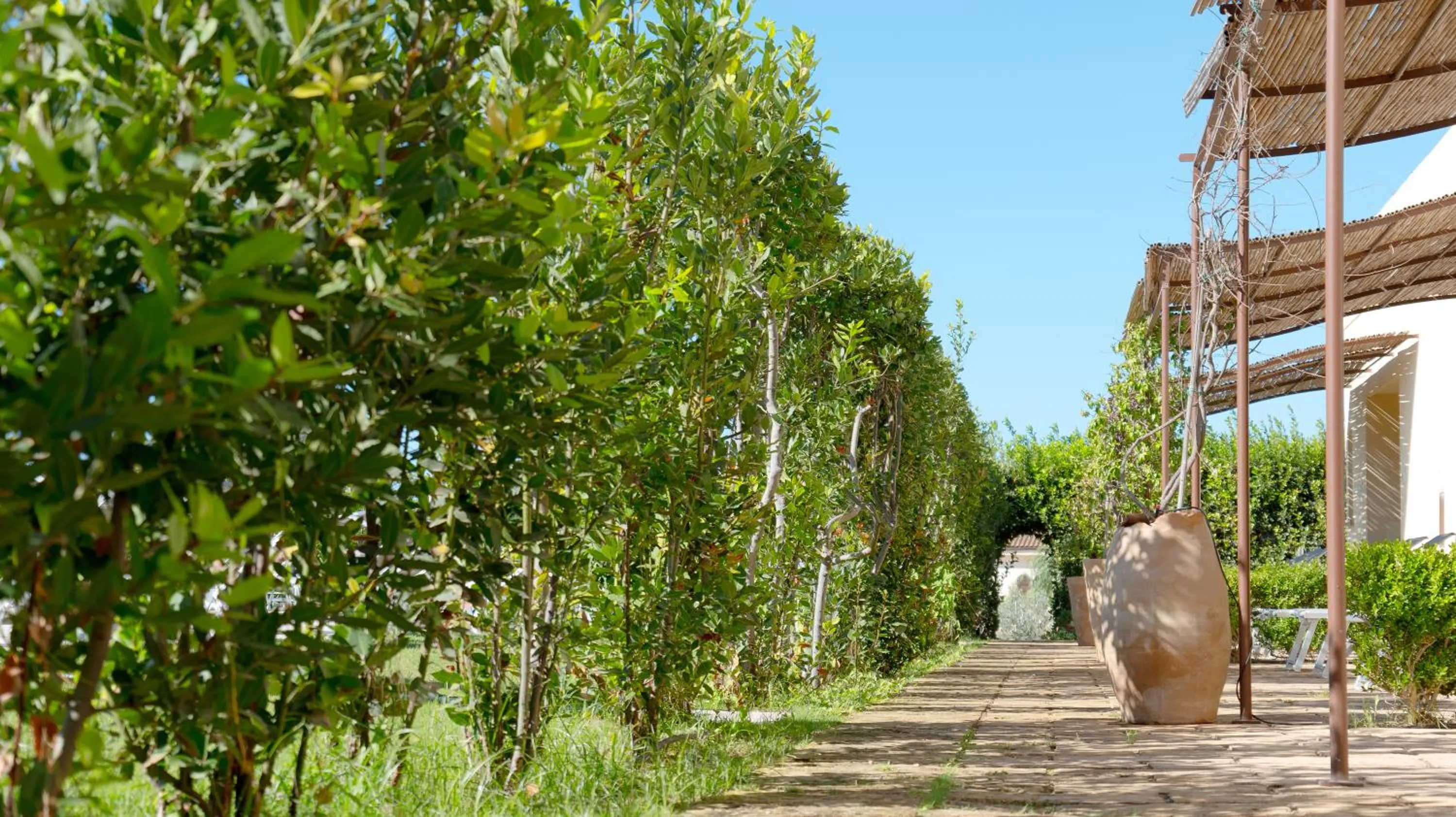 Swimming pool in Delle Rose, Hotel & Horse Riding