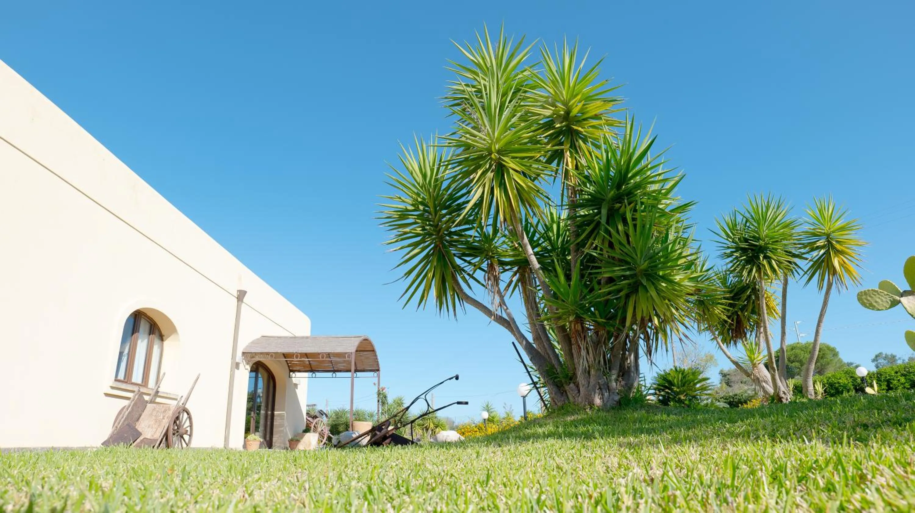 Property building in Delle Rose, Hotel & Horse Riding