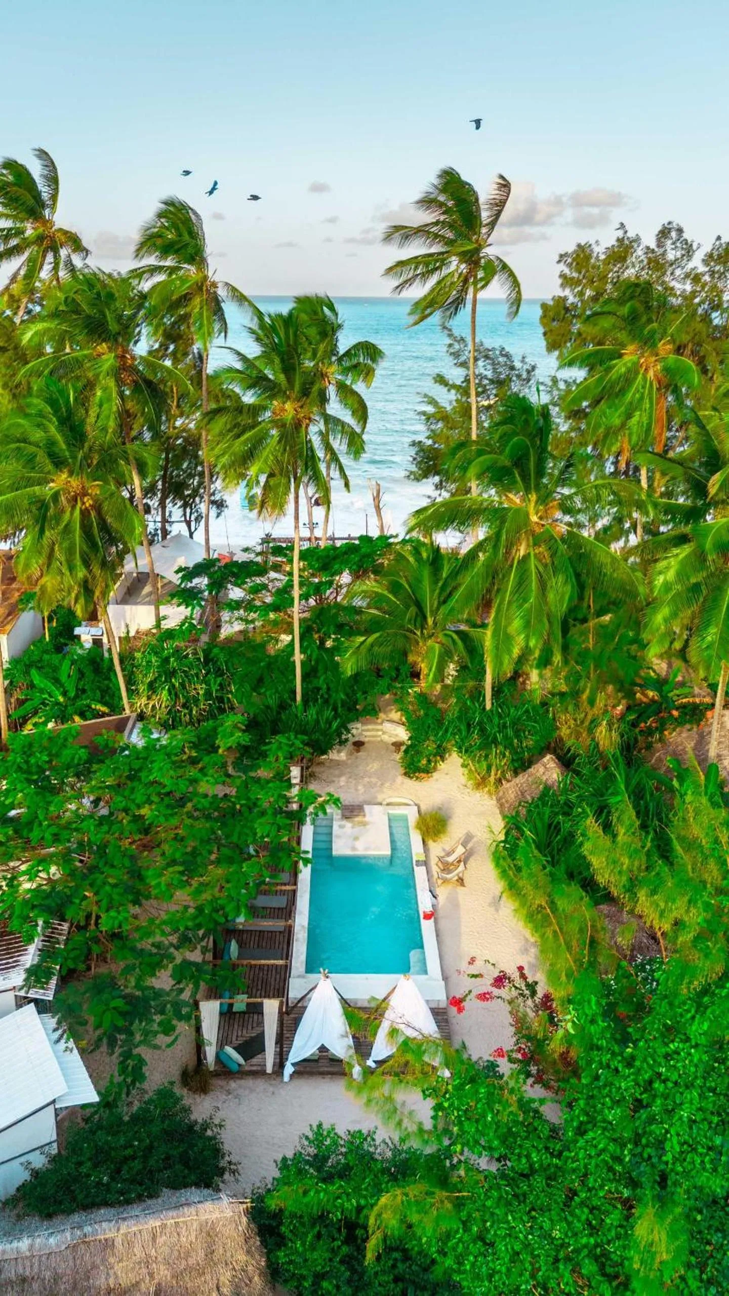 Day in B4 Beach Club