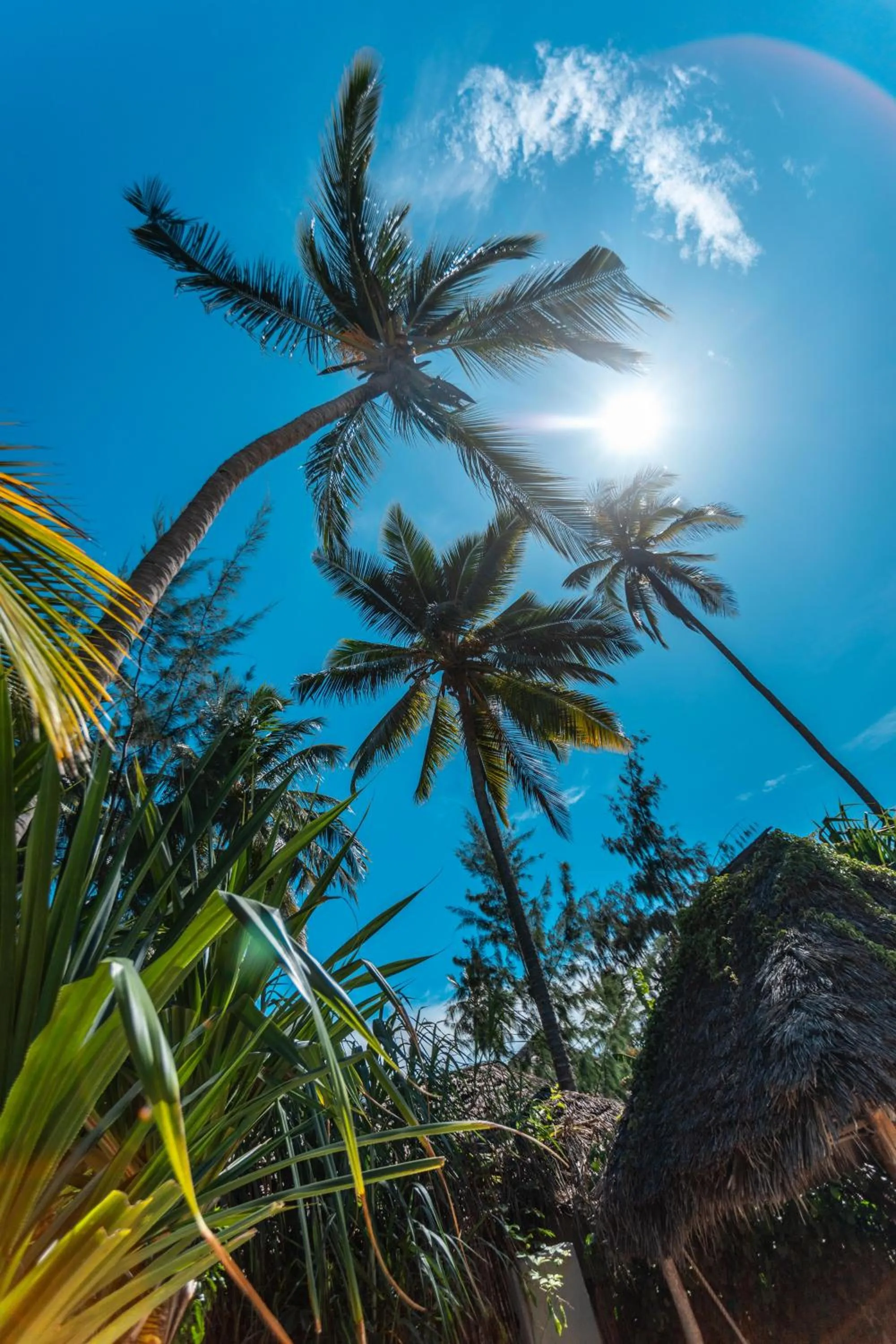 Restaurant/places to eat in B4 Beach Club