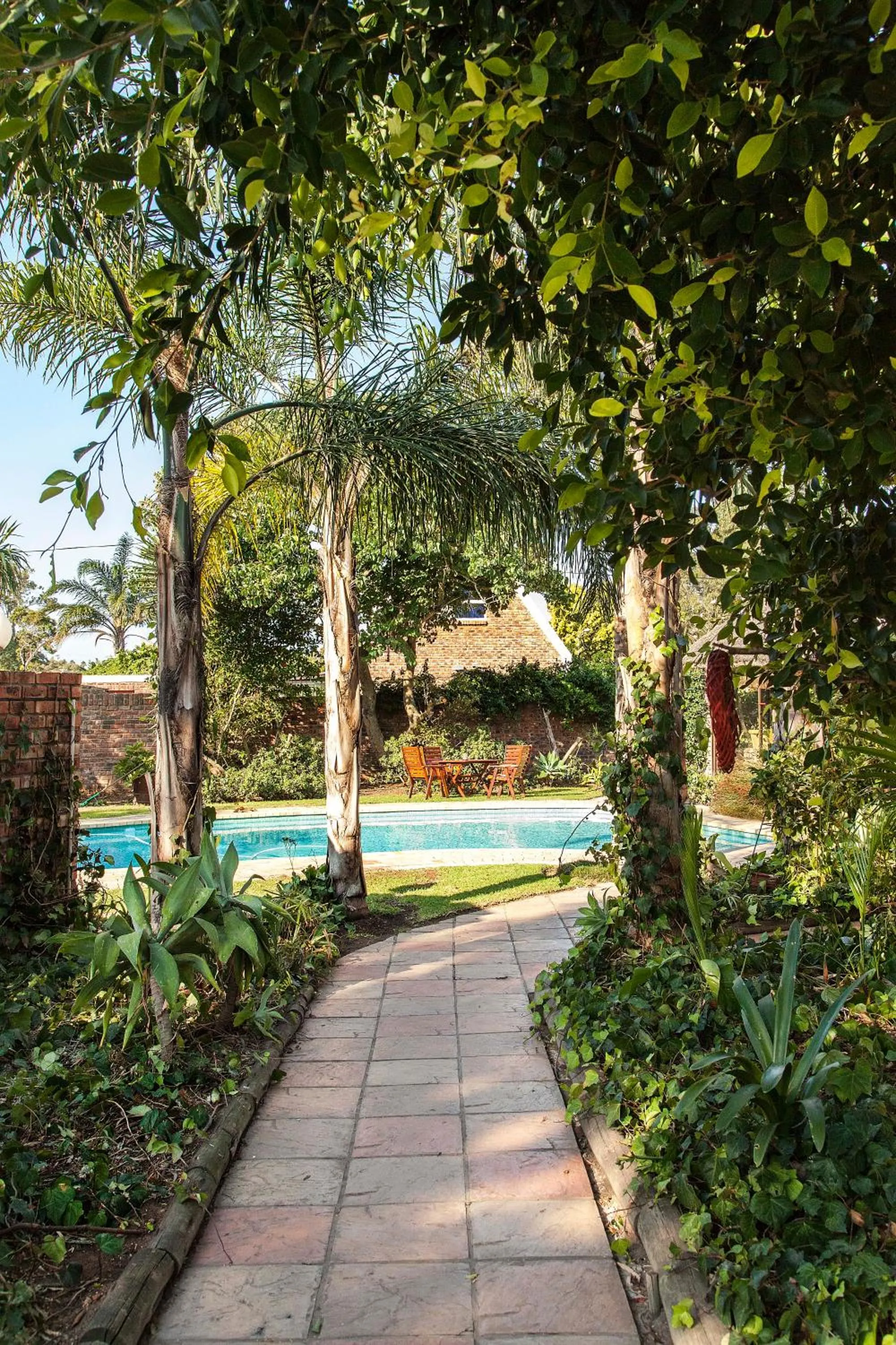 Swimming pool in Amani Guest Lodge