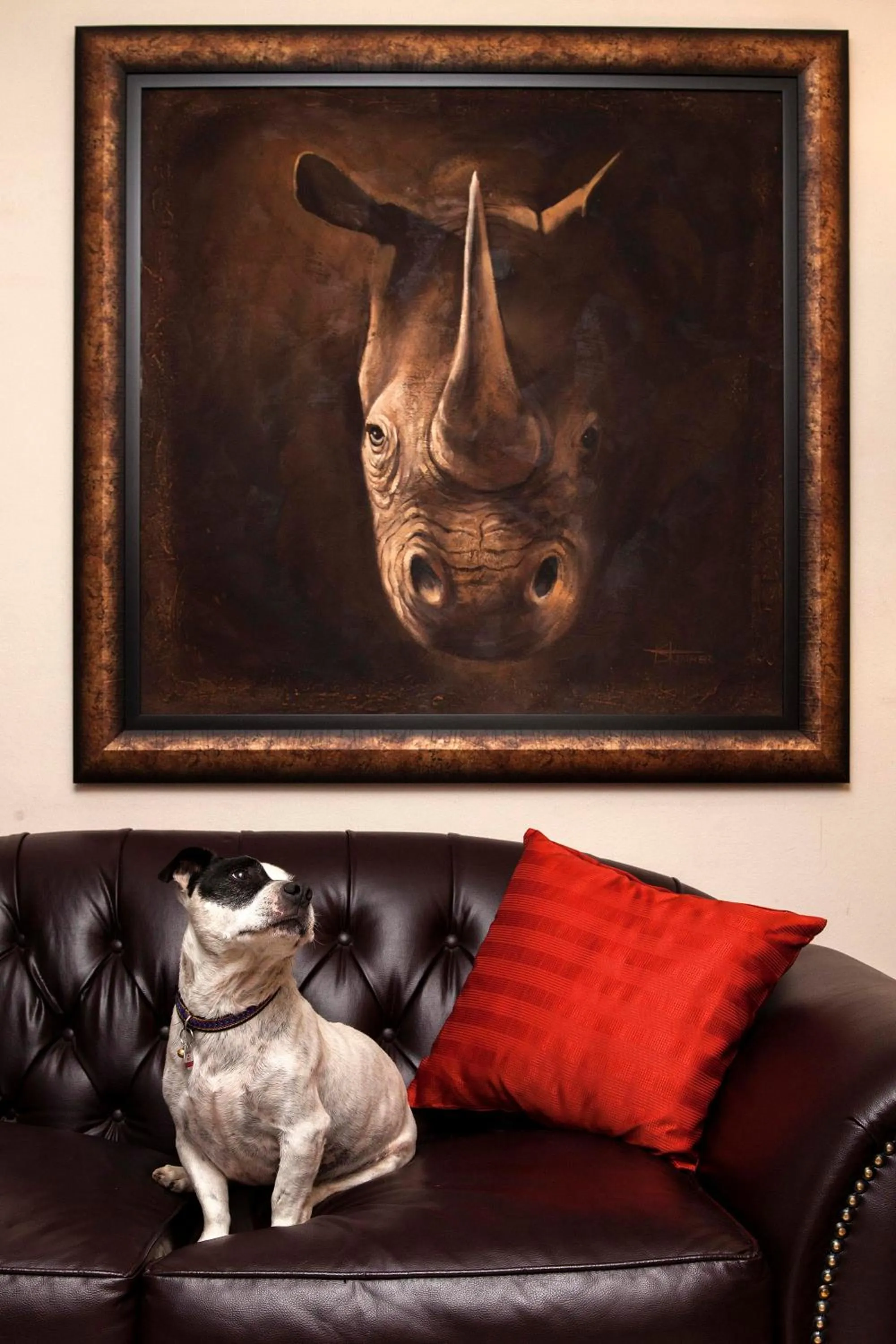 Seating area in Amani Guest Lodge