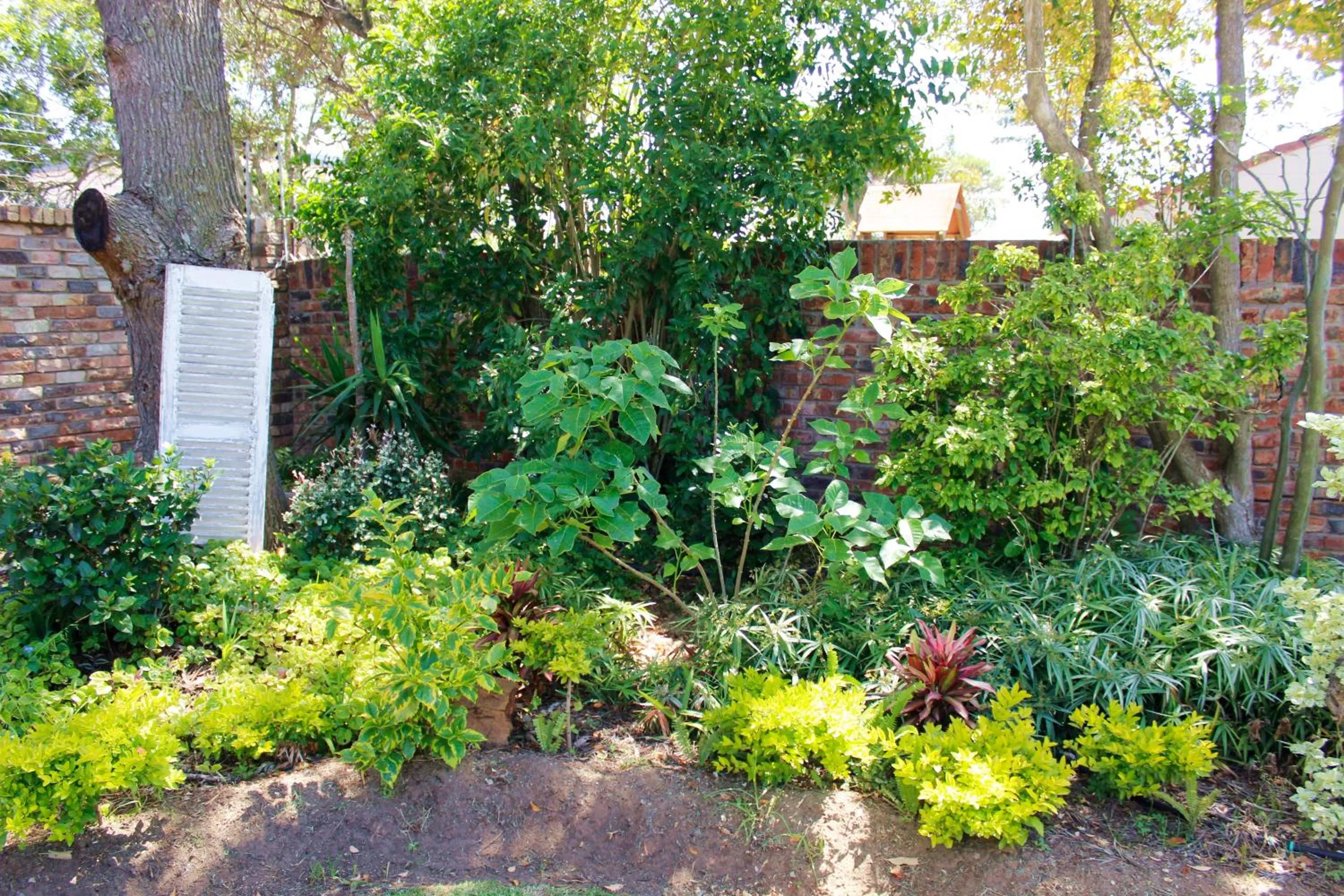 Garden in Amani Guest Lodge