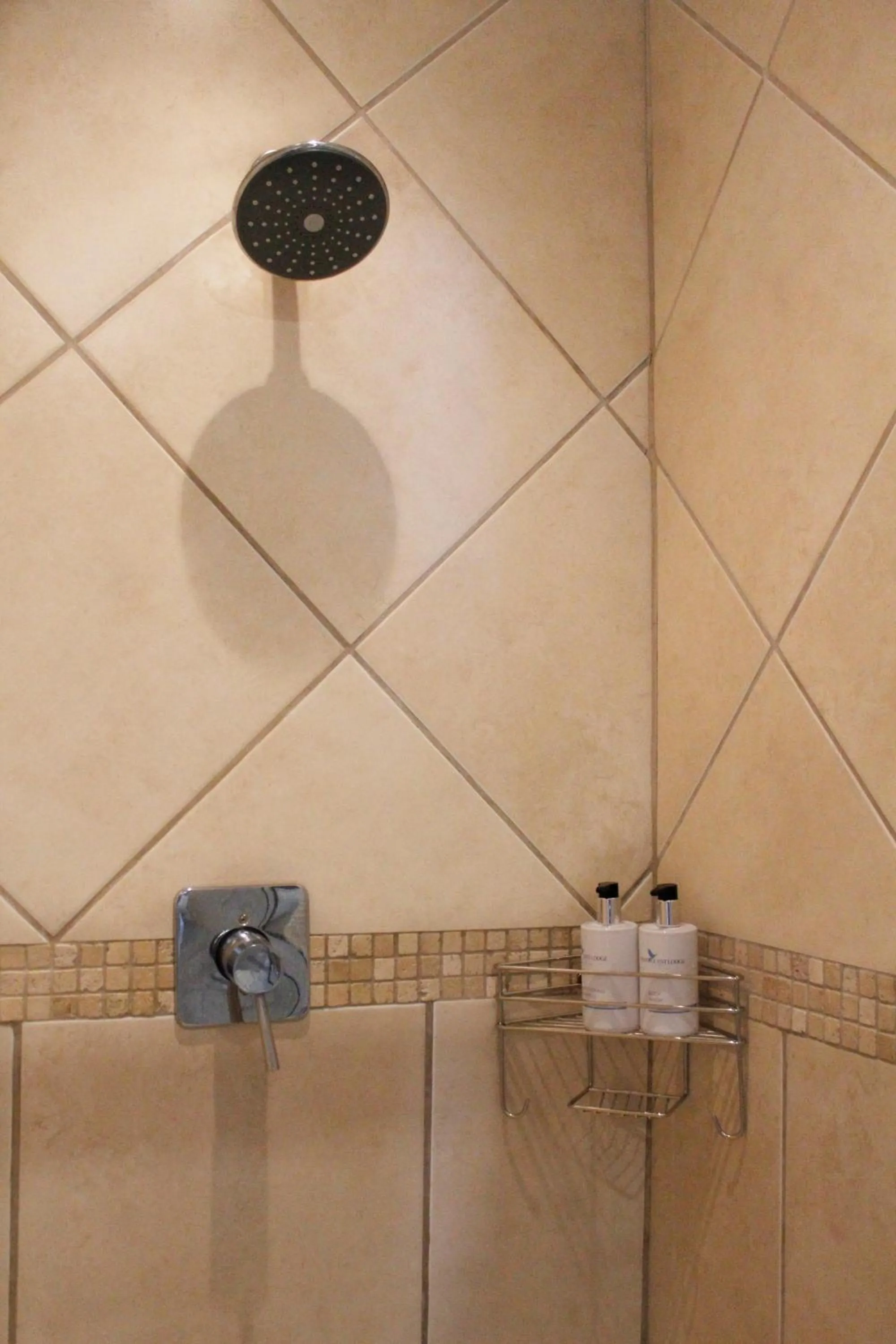 Bathroom in Amani Guest Lodge