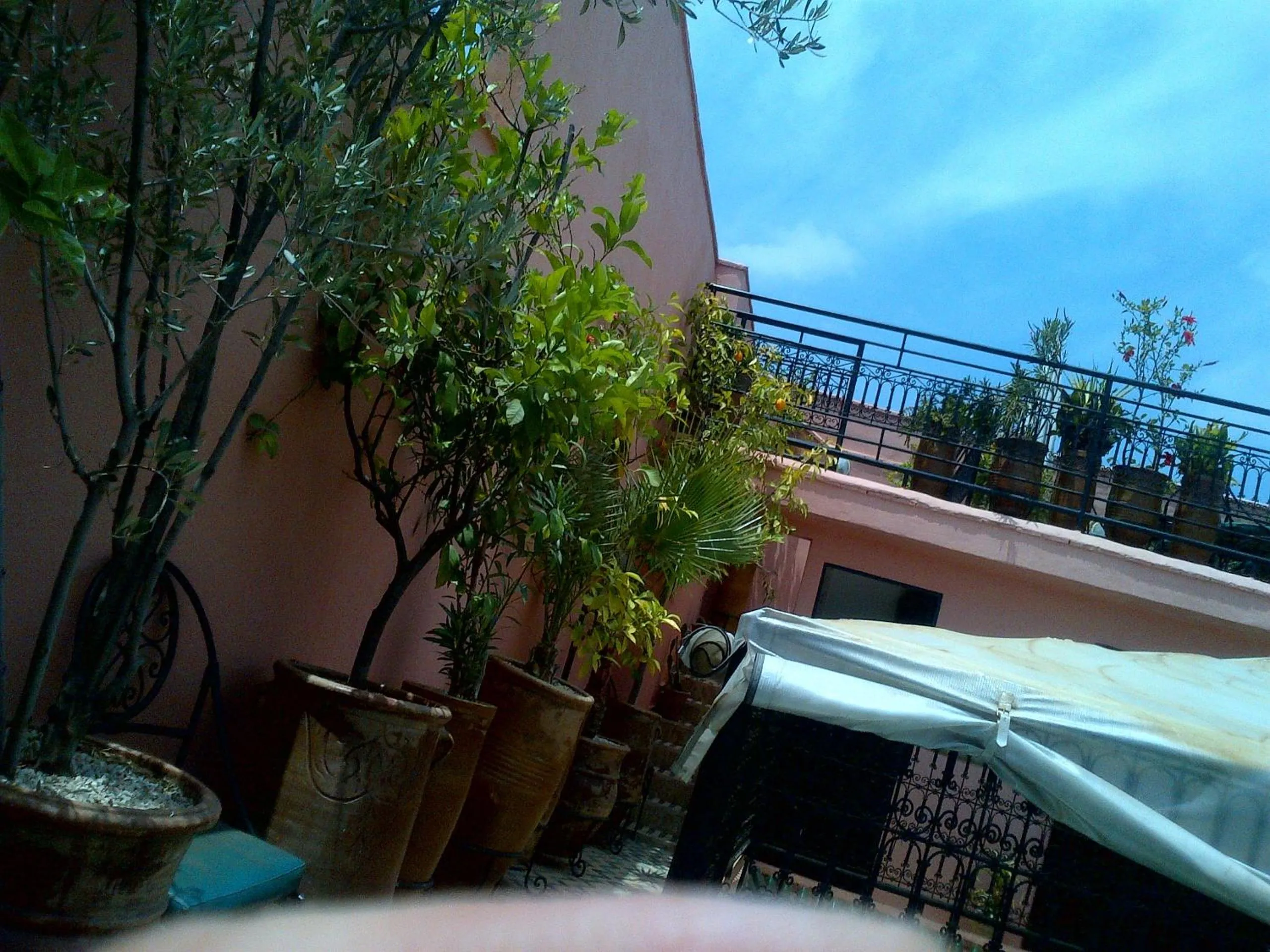 Balcony/Terrace in Riad Lila