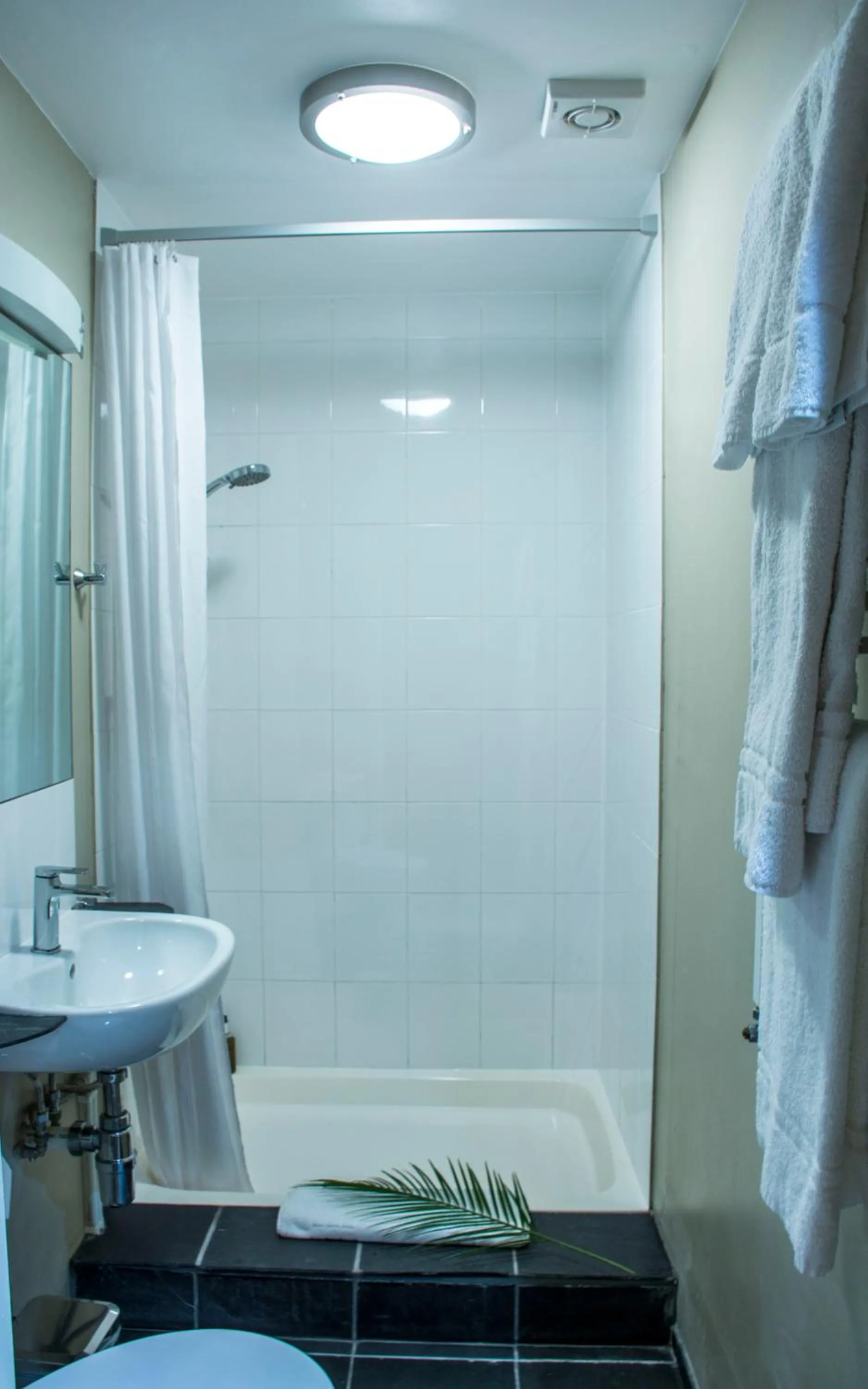 Toilet in Amherst Brighton