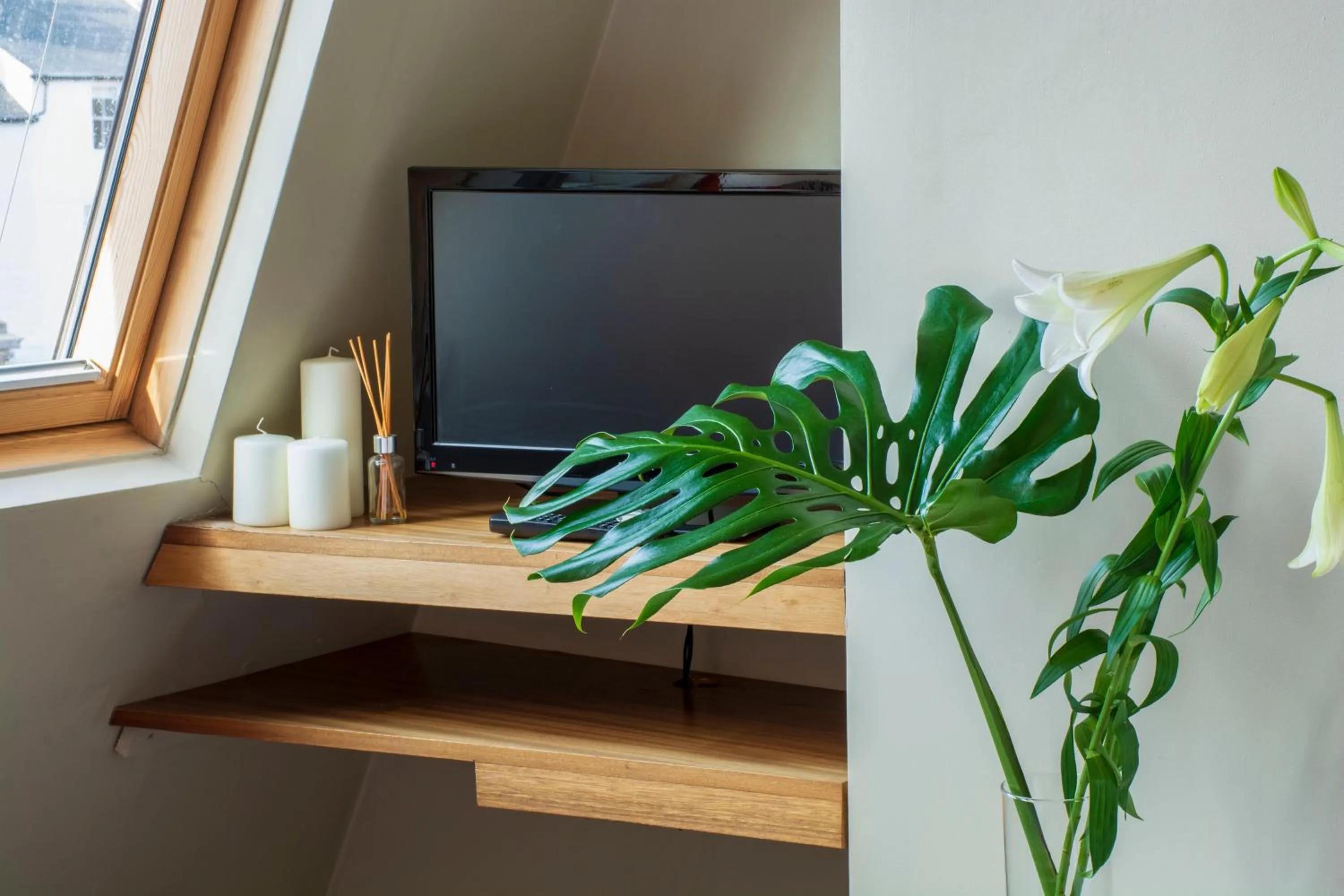 TV and multimedia in Amherst Brighton