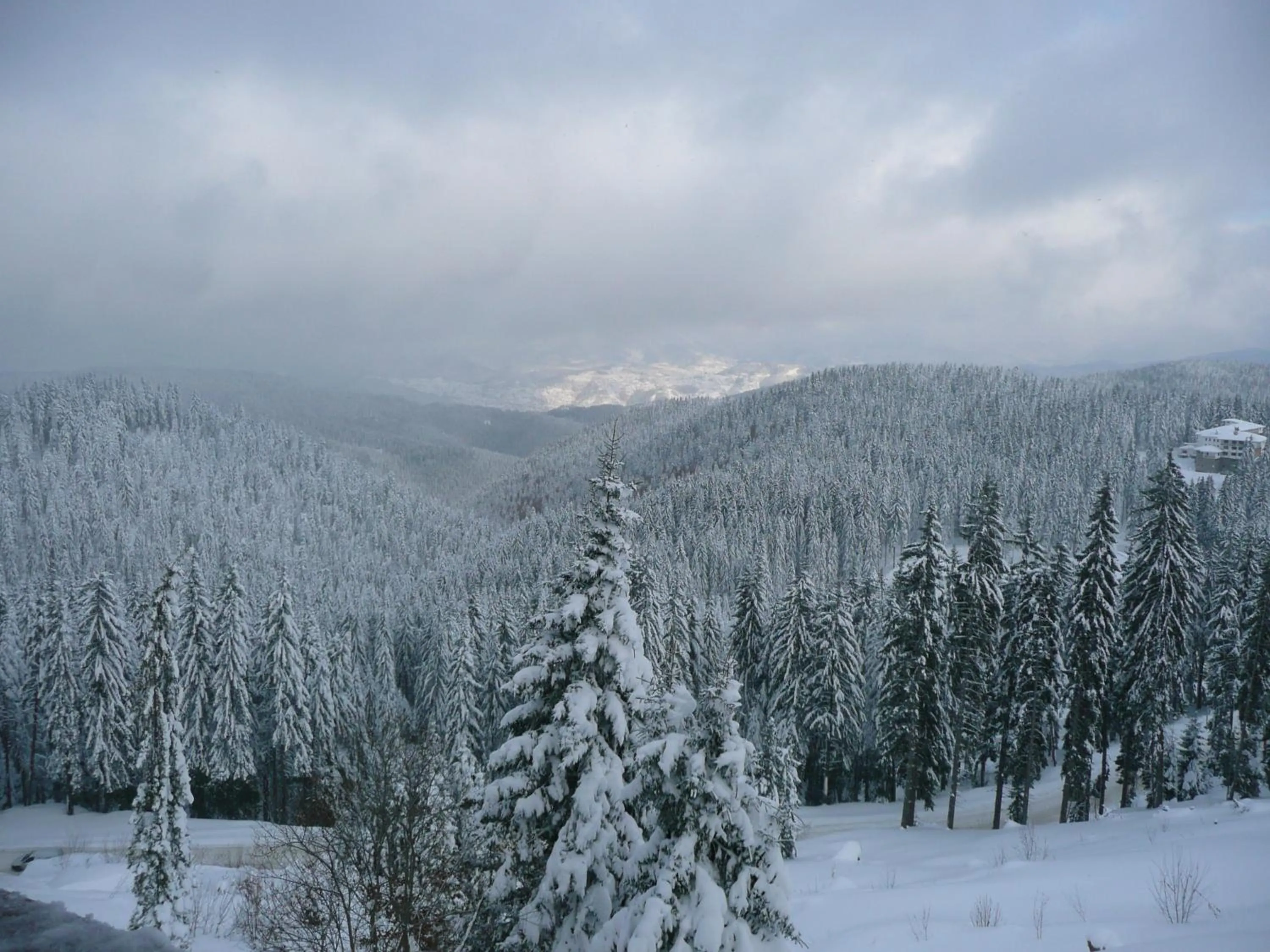 Winter in Aparthotel Pine Hills Pamporovo