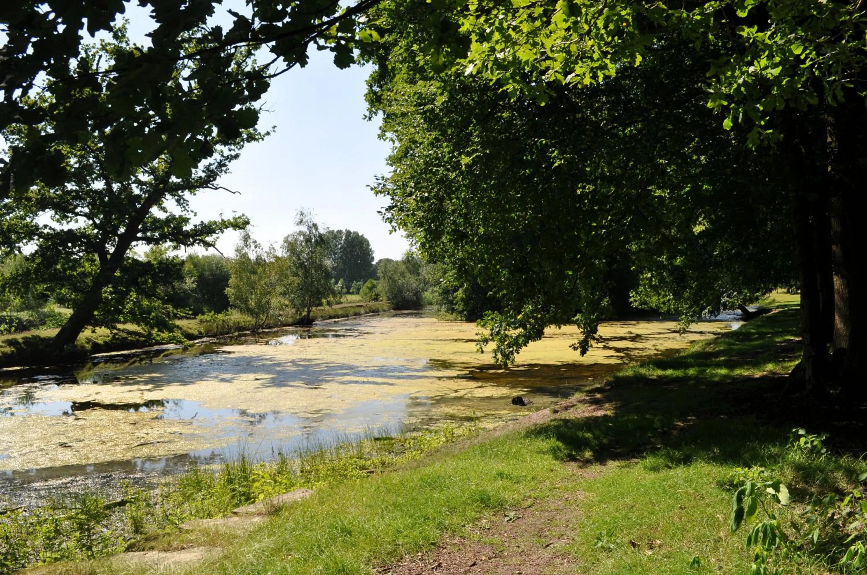 Garden in Hotel Restaurant Große Teichsmühle