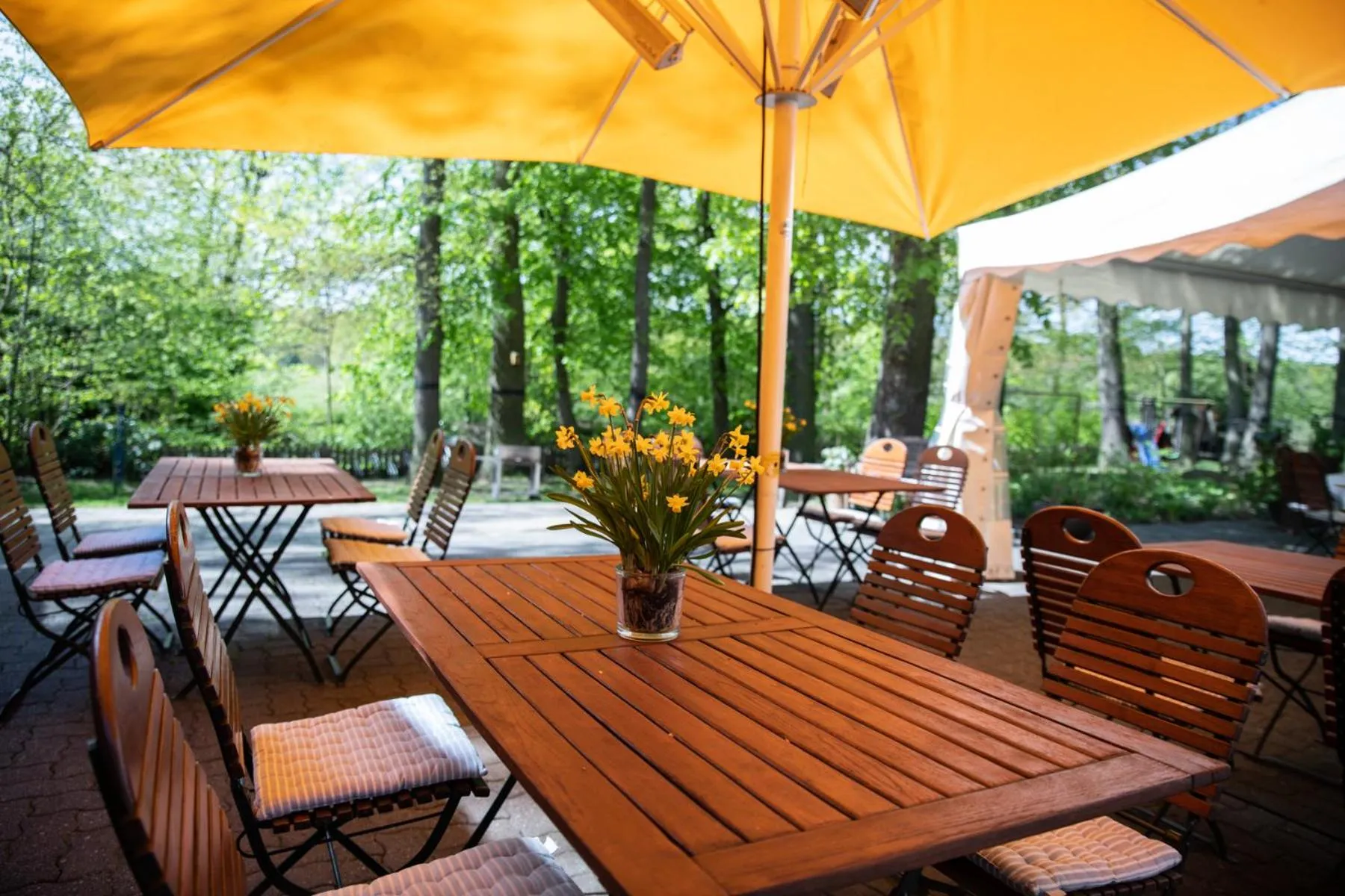 Restaurant/places to eat in Hotel Restaurant Große Teichsmühle