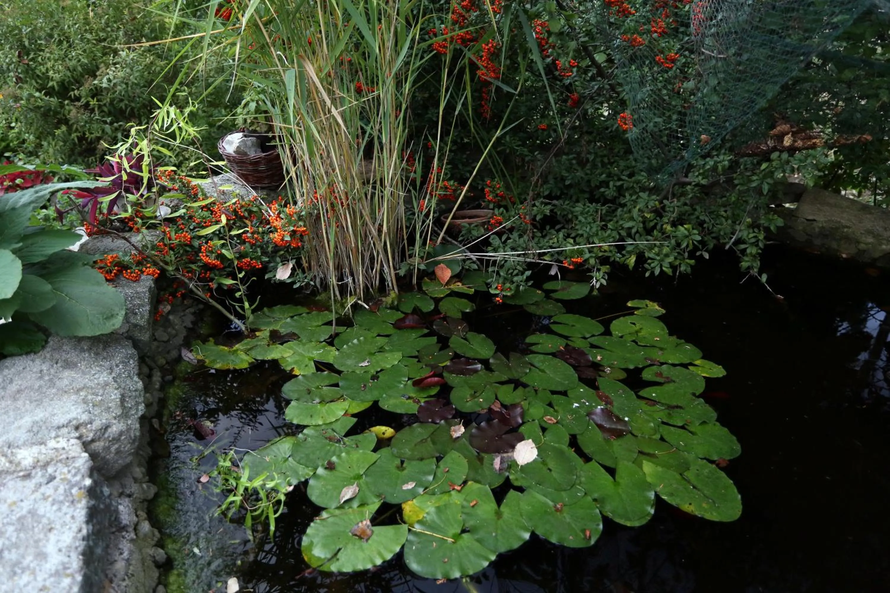 Alabástrom Panzió és Étterem