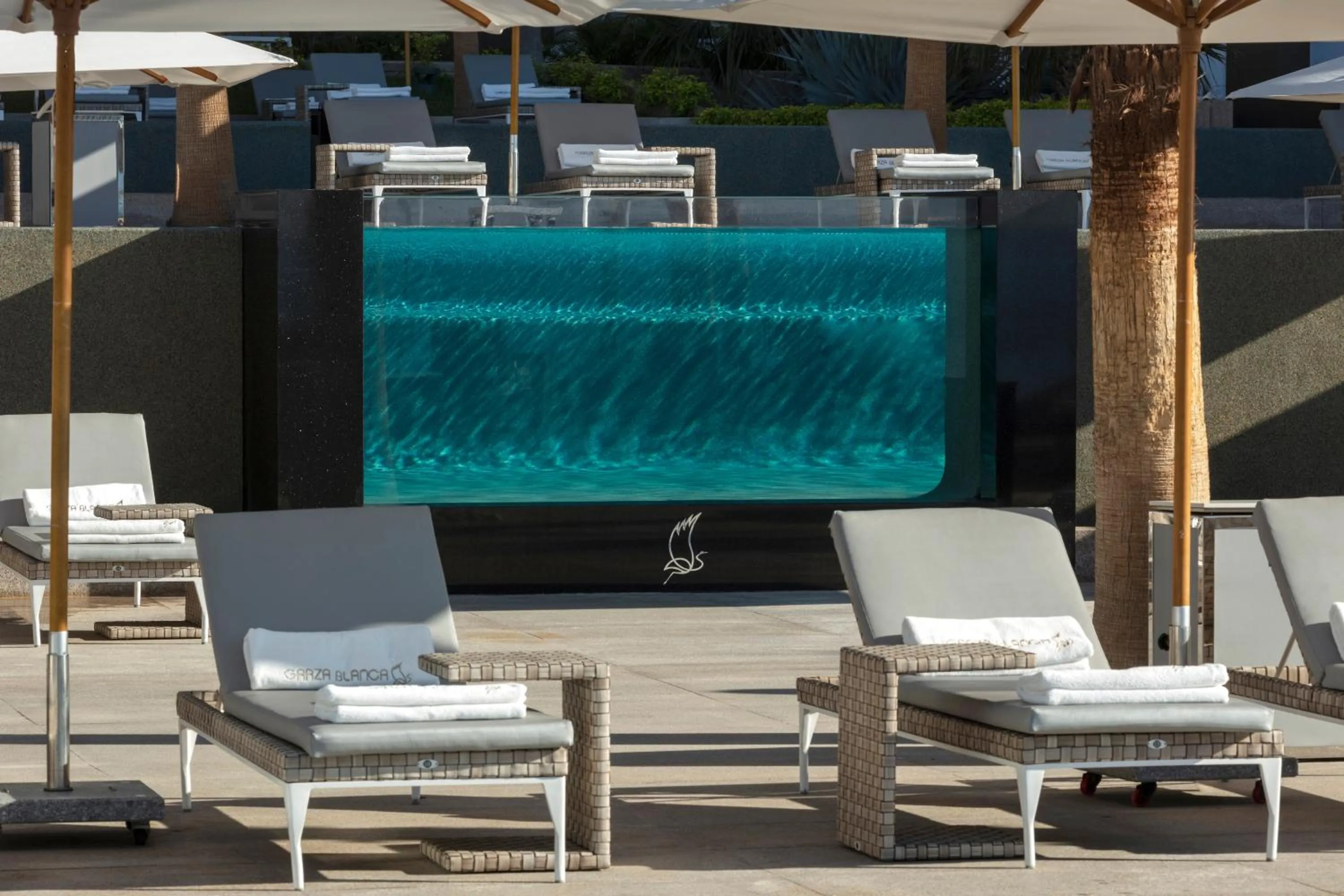 Swimming pool in Garza Blanca Resort & Spa Los Cabos