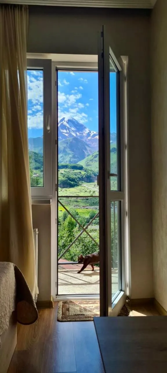 Garden view in Kazbegi Inn