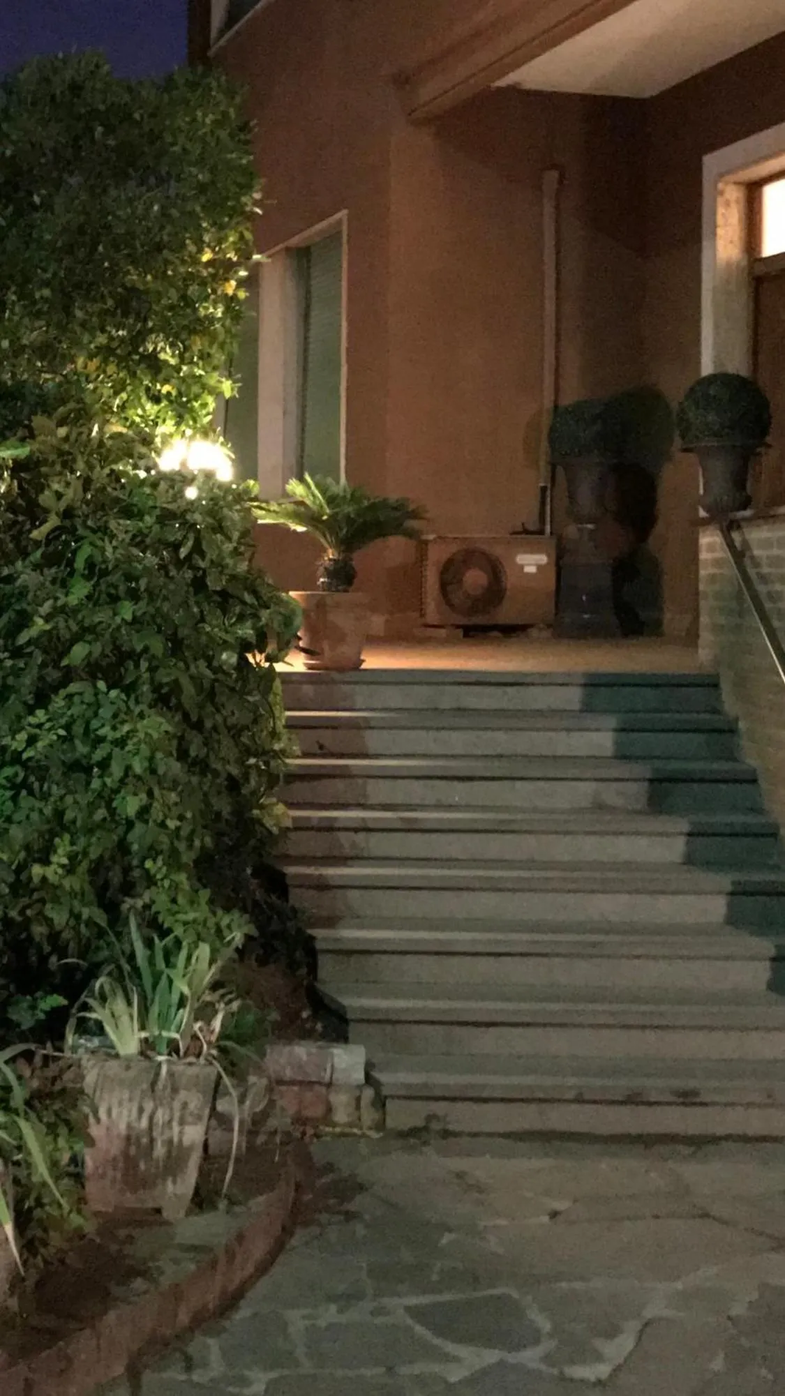 Bird's eye view in bellaria