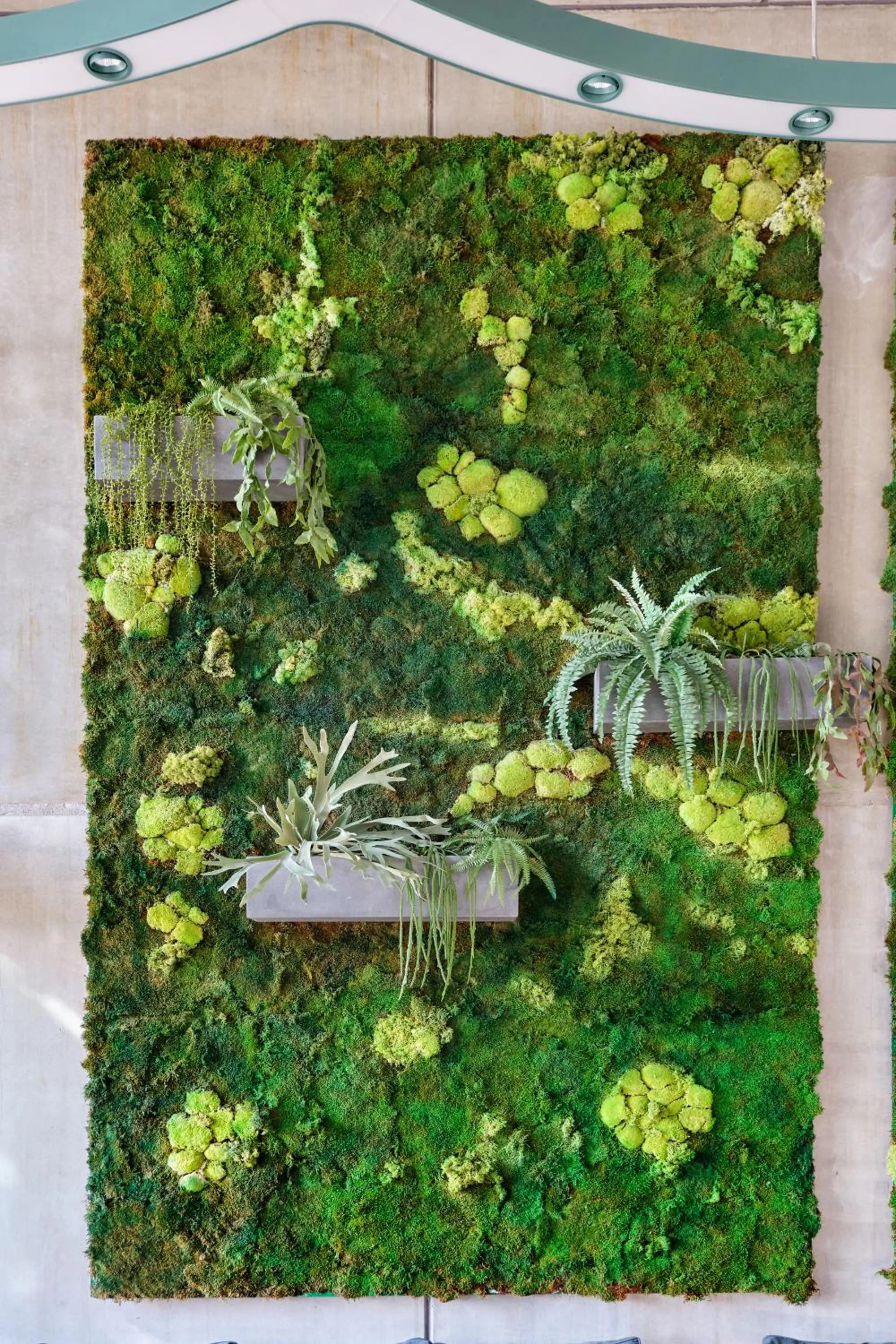 Lobby or reception in Landgut Stober