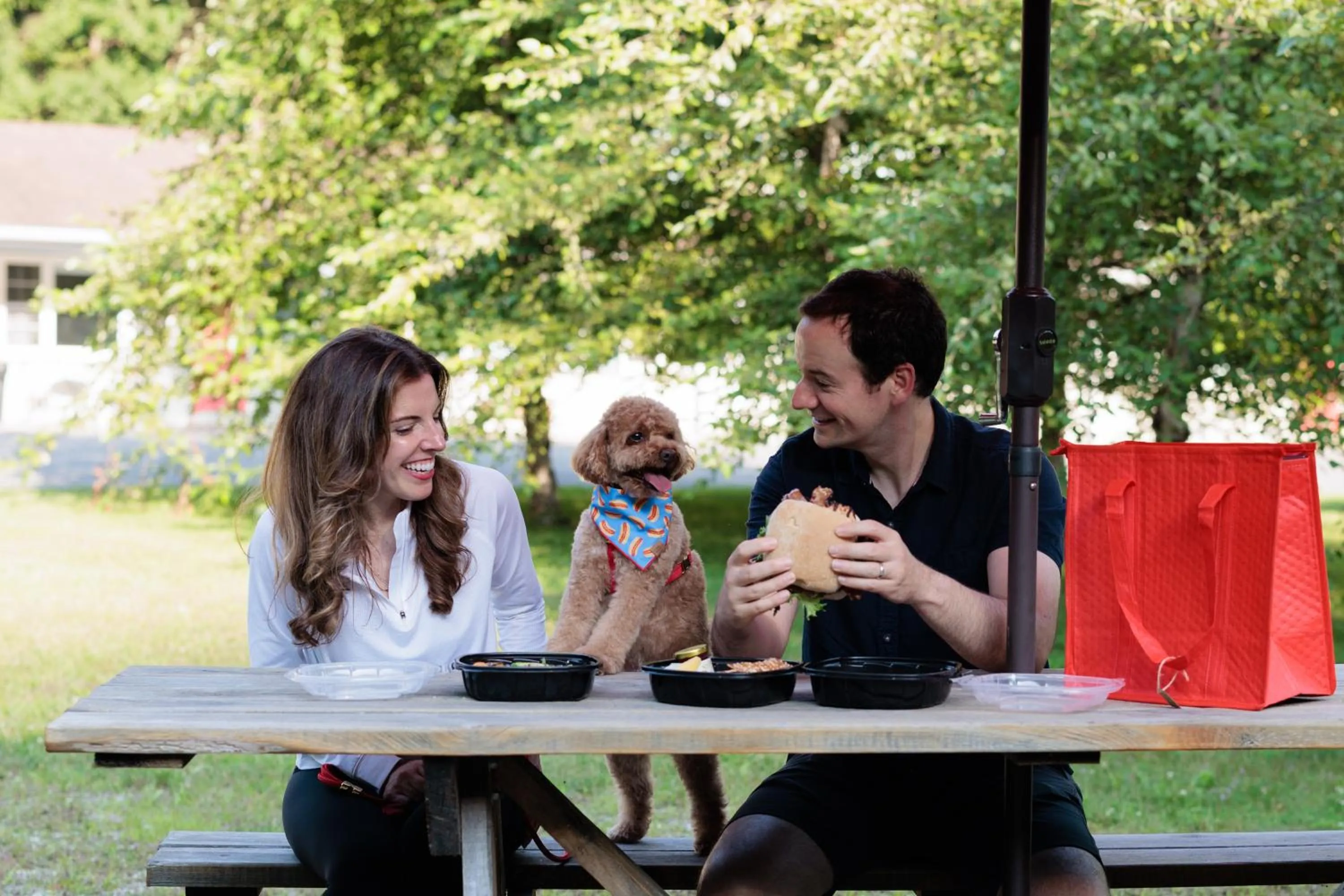 Pets in The Little Lion