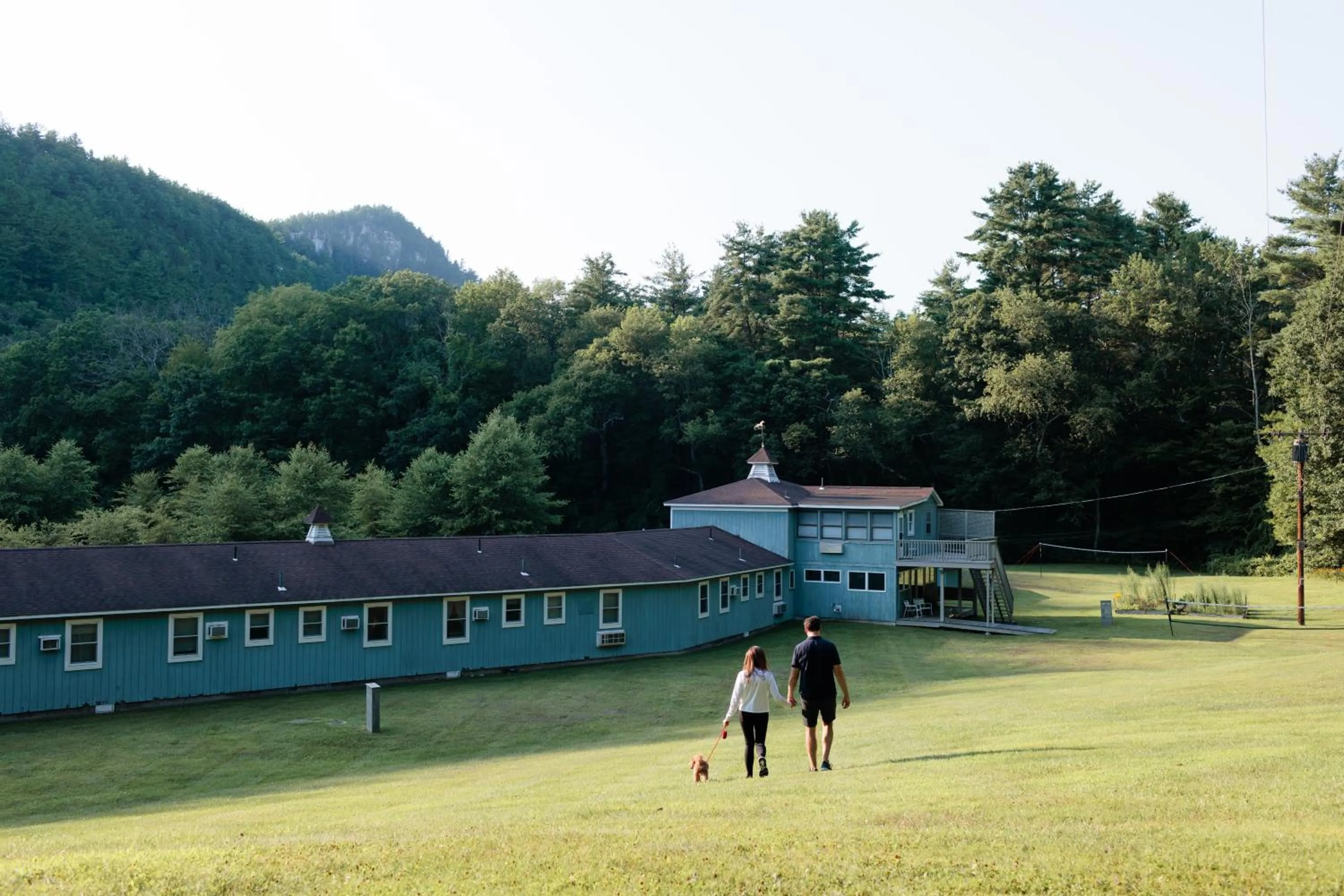 Property building in The Little Lion