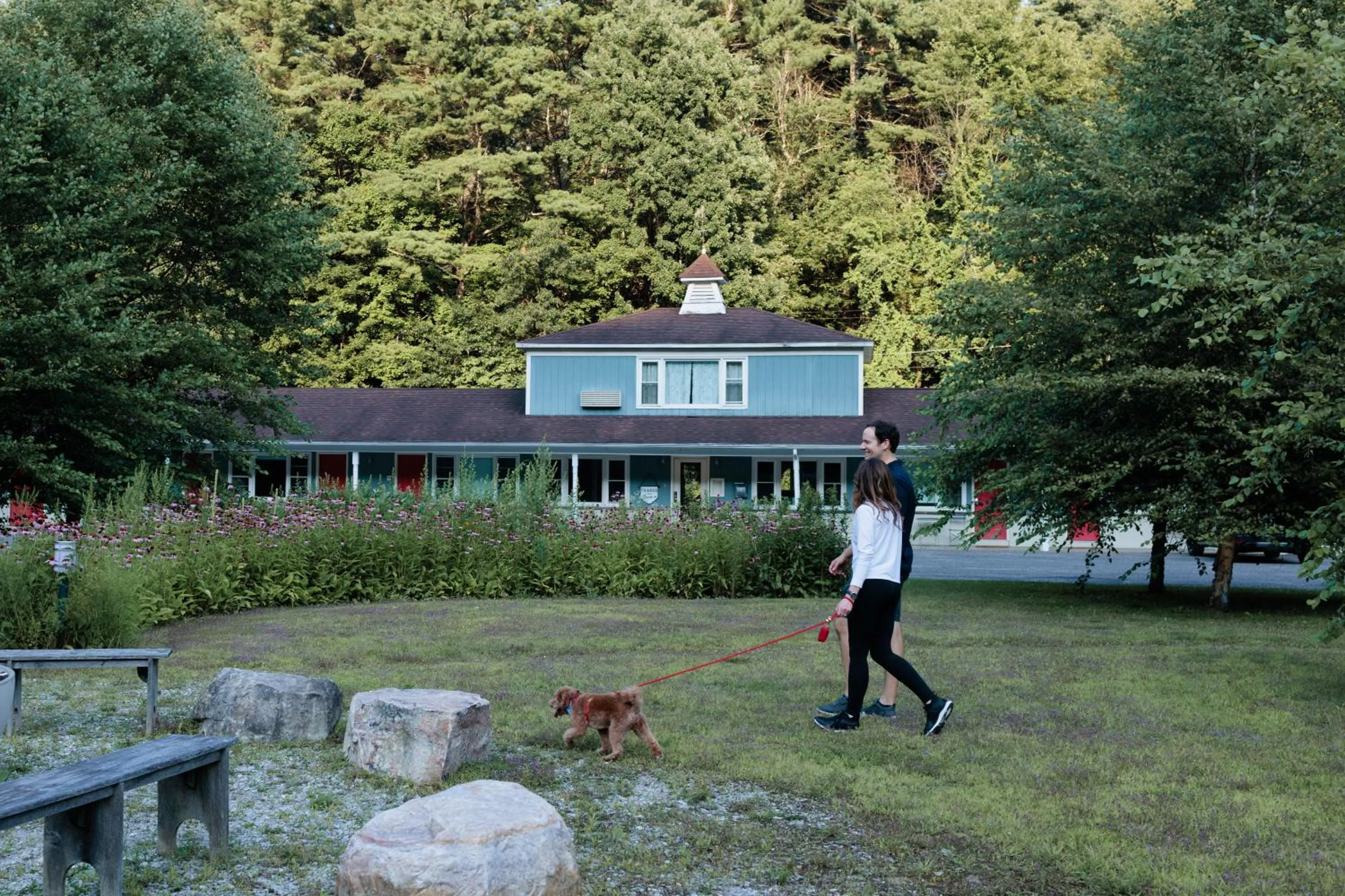 Property building in The Little Lion