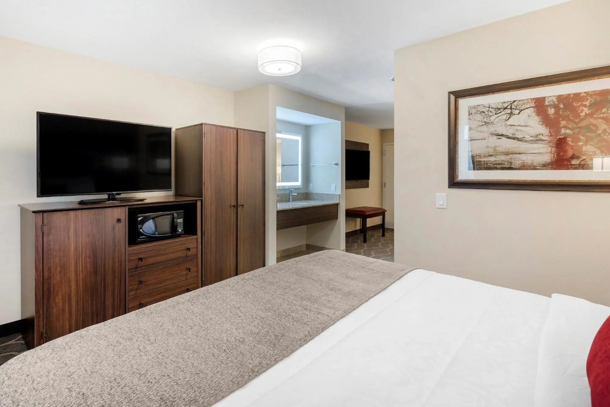 TV and multimedia in Country Inn & Suites by Radisson, Grandville-Grand Rapids West, MI