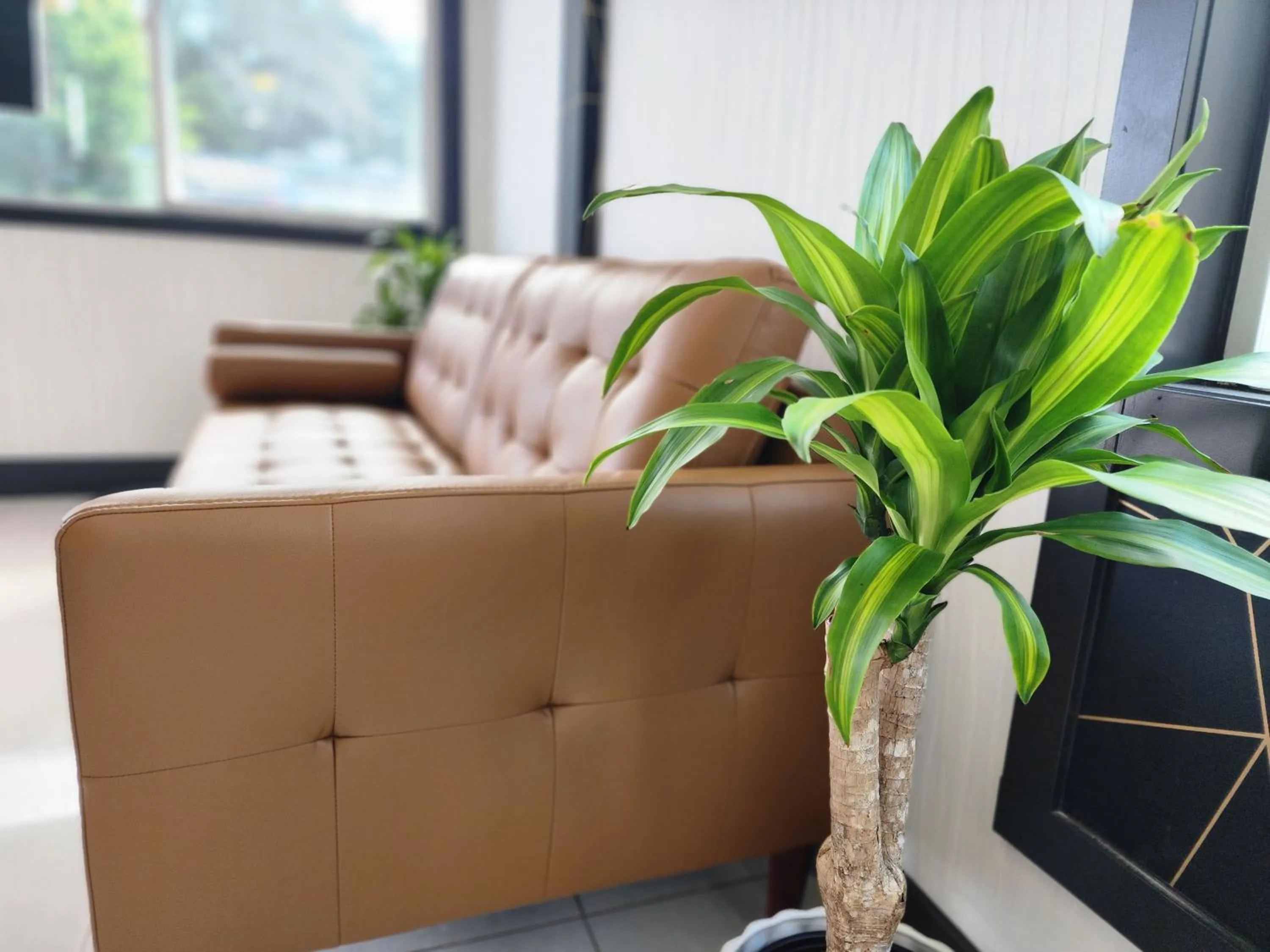 Seating area in Inn The Mountains