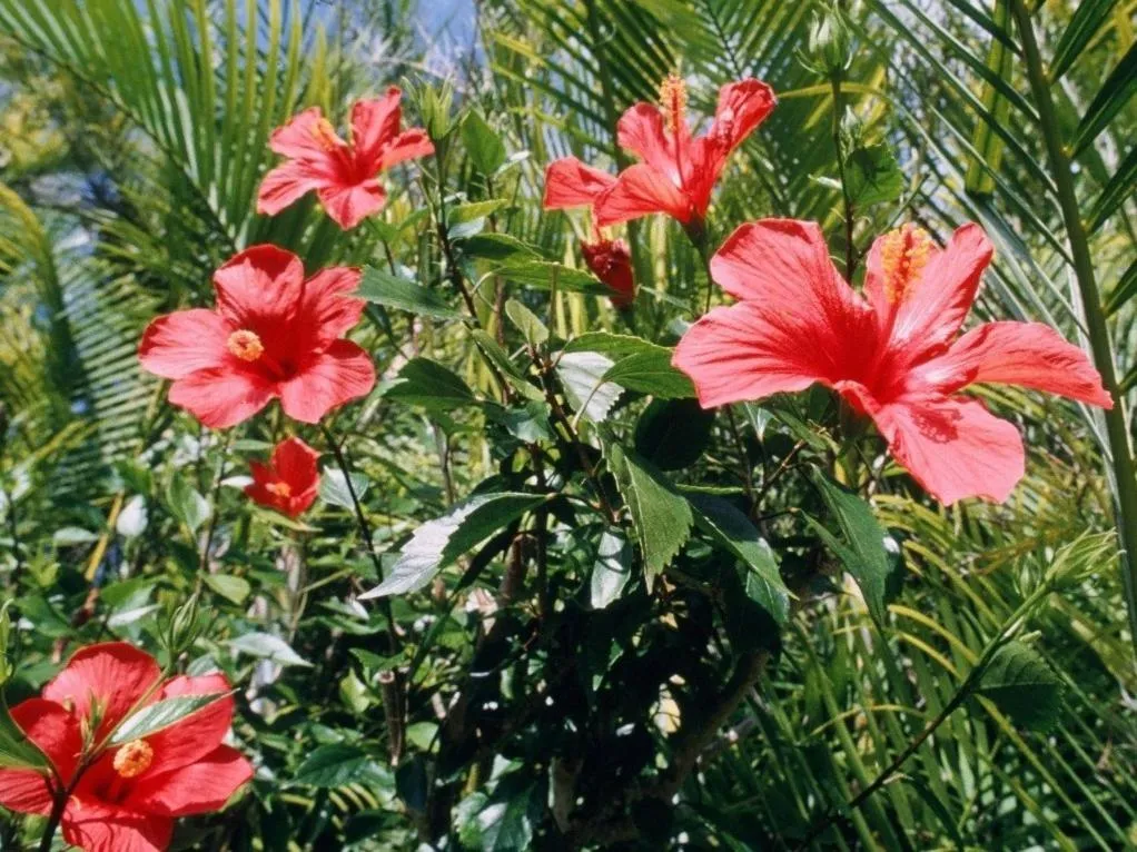 Off site in Terrace Garden Mihama Resort by Coldio Premium