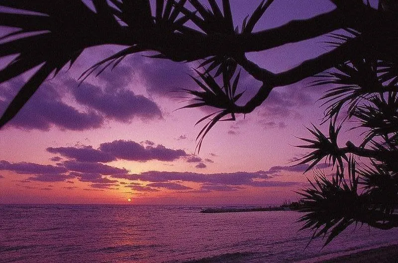 Natural landscape in Terrace Garden Mihama Resort by Coldio Premium