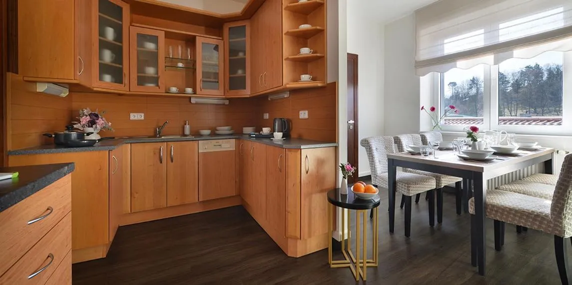 Kitchen or kitchenette in Vysocina Design Apartments