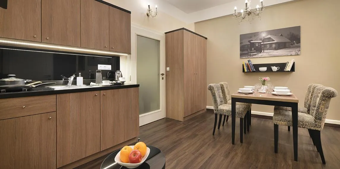 Kitchen or kitchenette in Vysocina Design Apartments