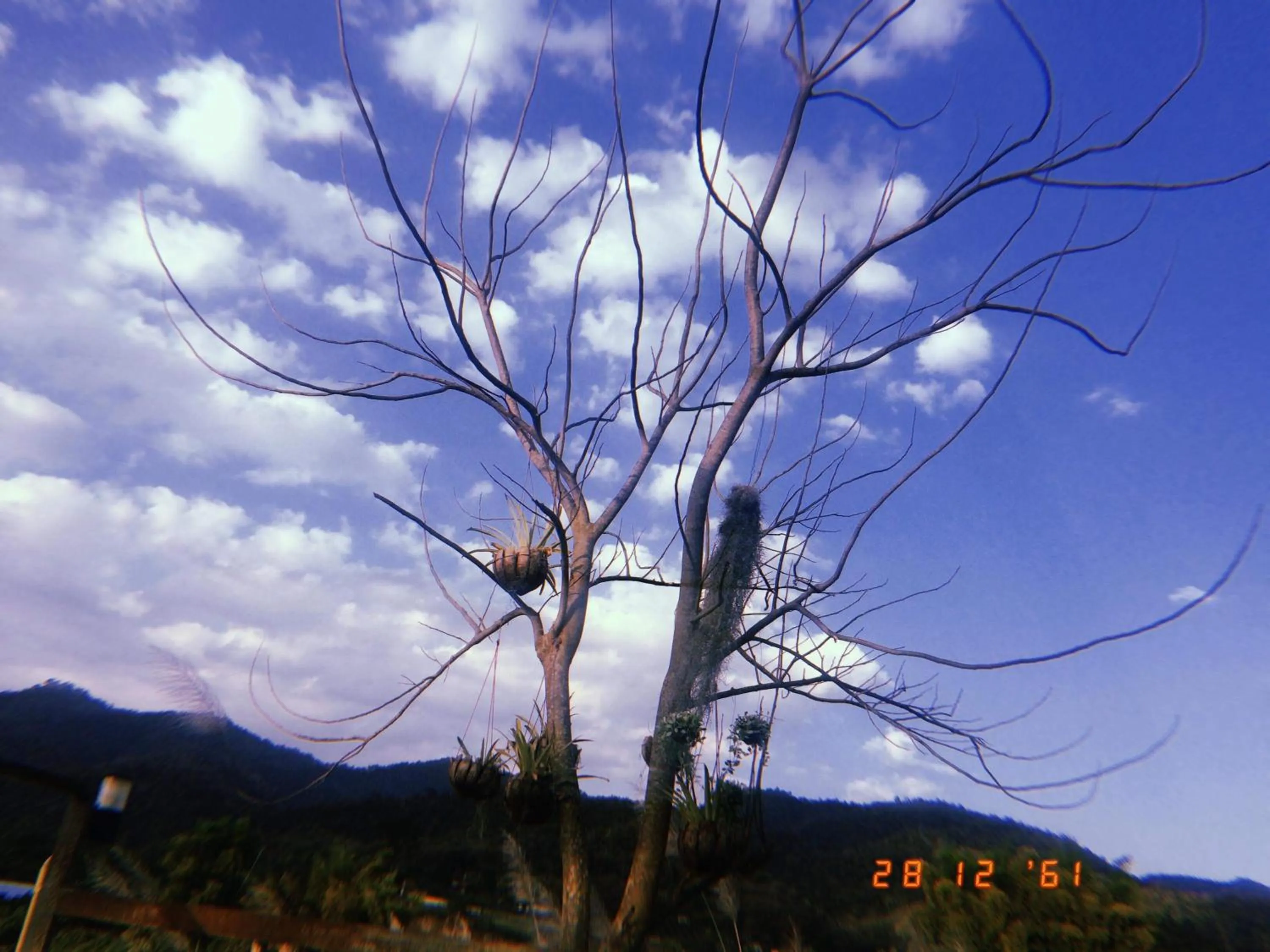 Areeya Phuree Resort Thaton