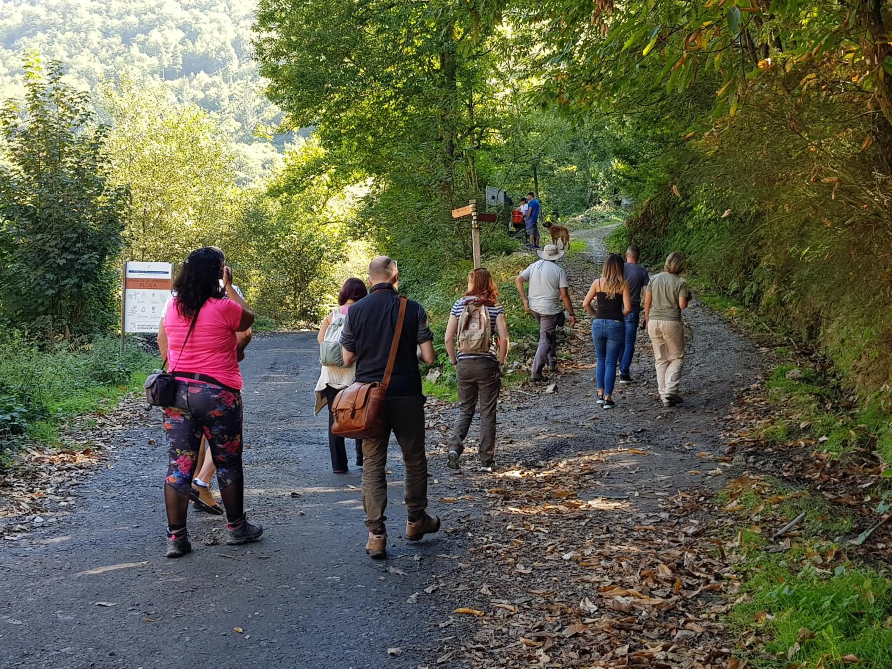 Hiking in Hotel Rural Las Montañas de Pumar