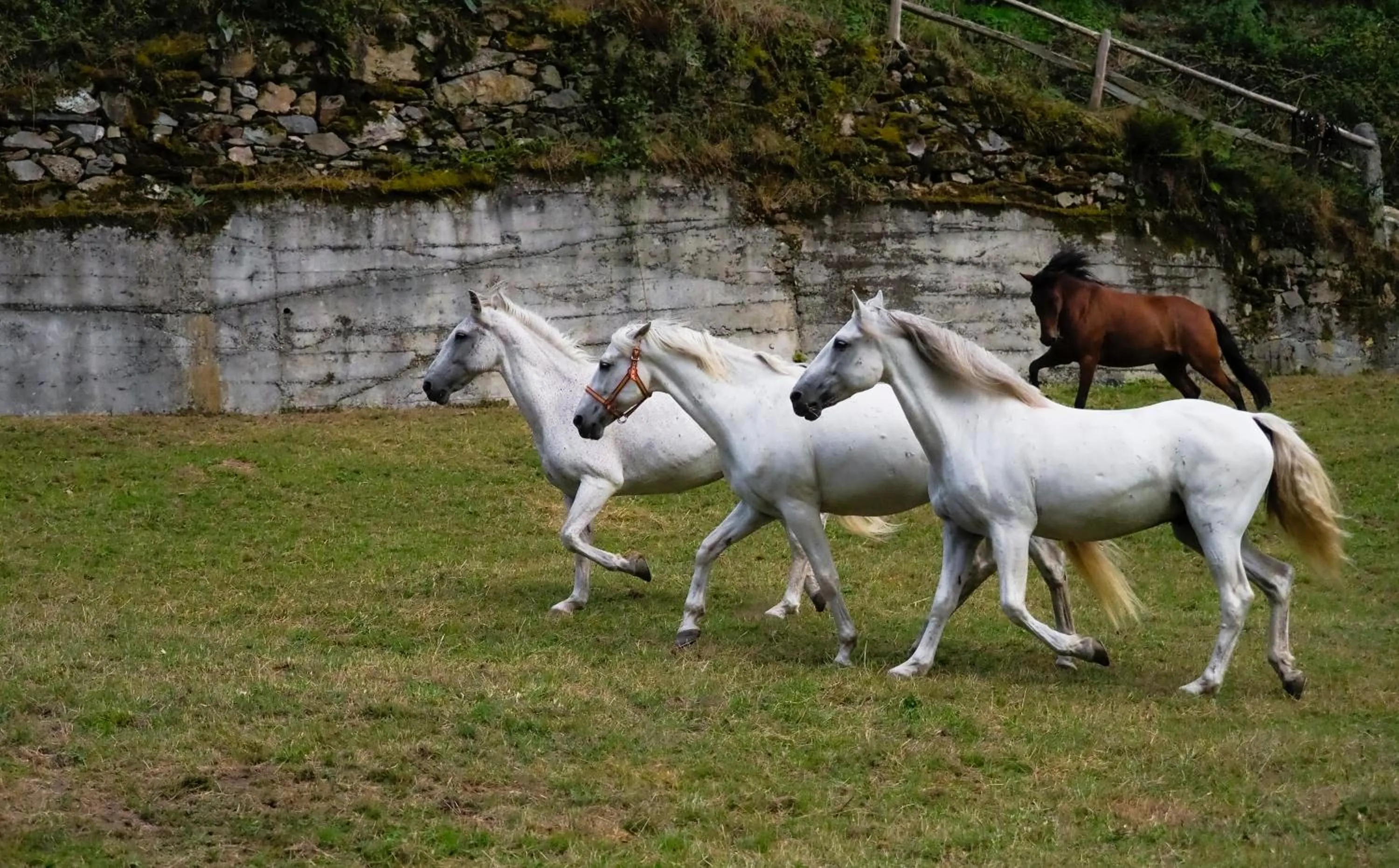 Natural landscape in Hotel Rural Las Montañas de Pumar