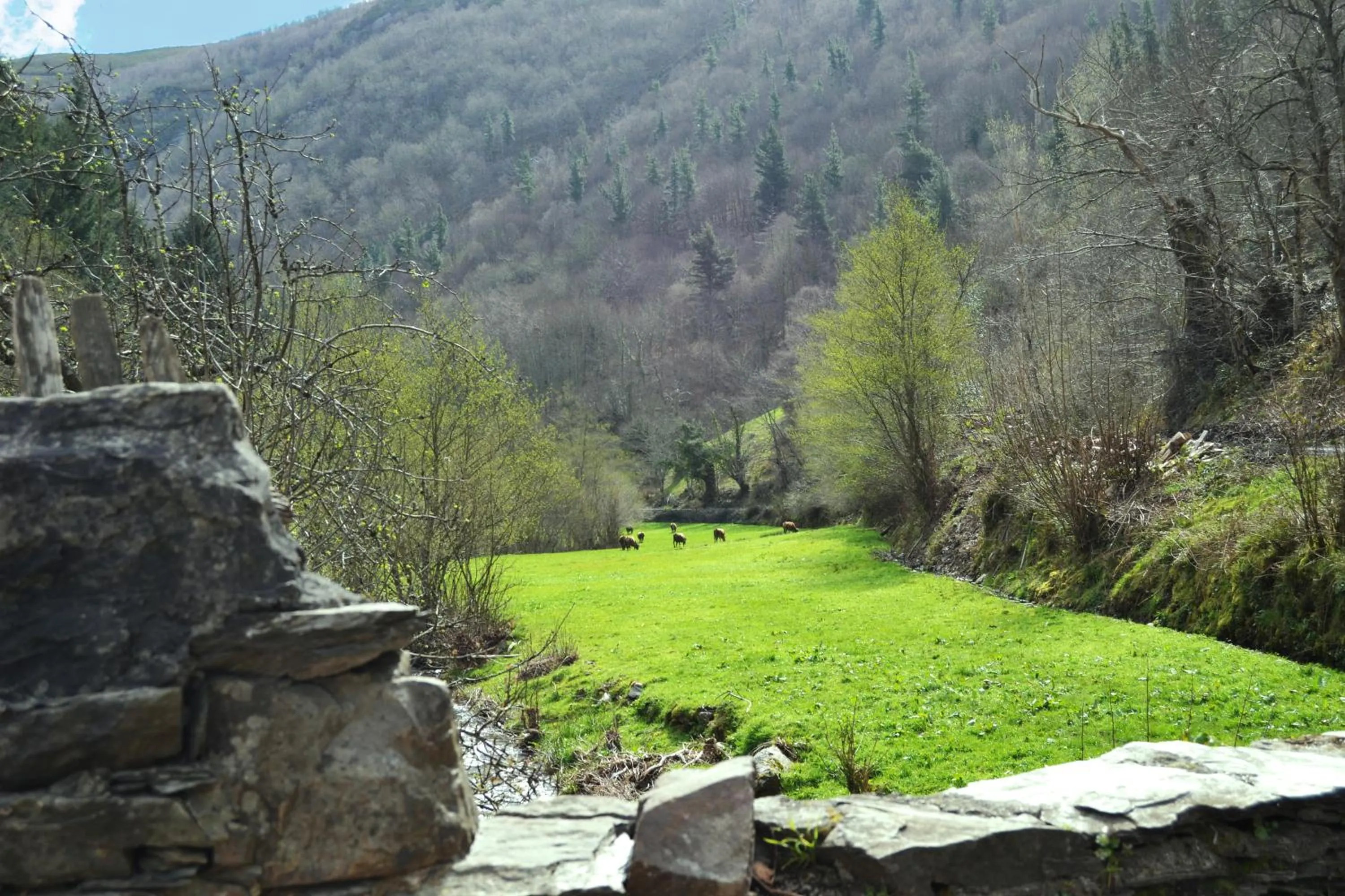 Property building in Hotel Rural Las Montañas de Pumar