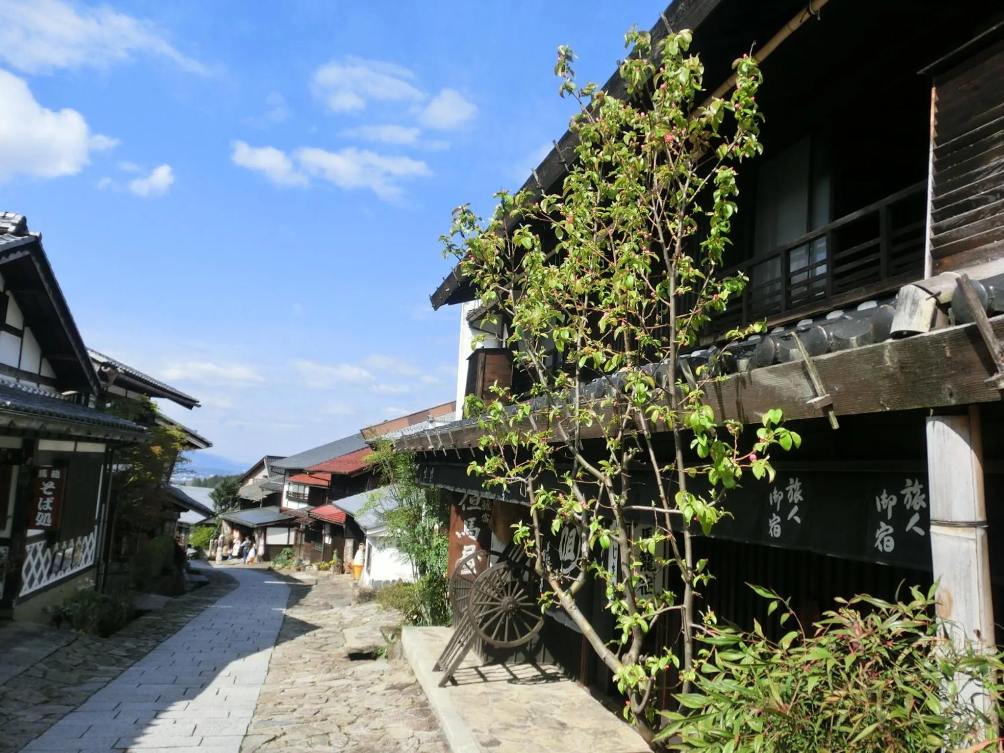 Day in Tajimaya