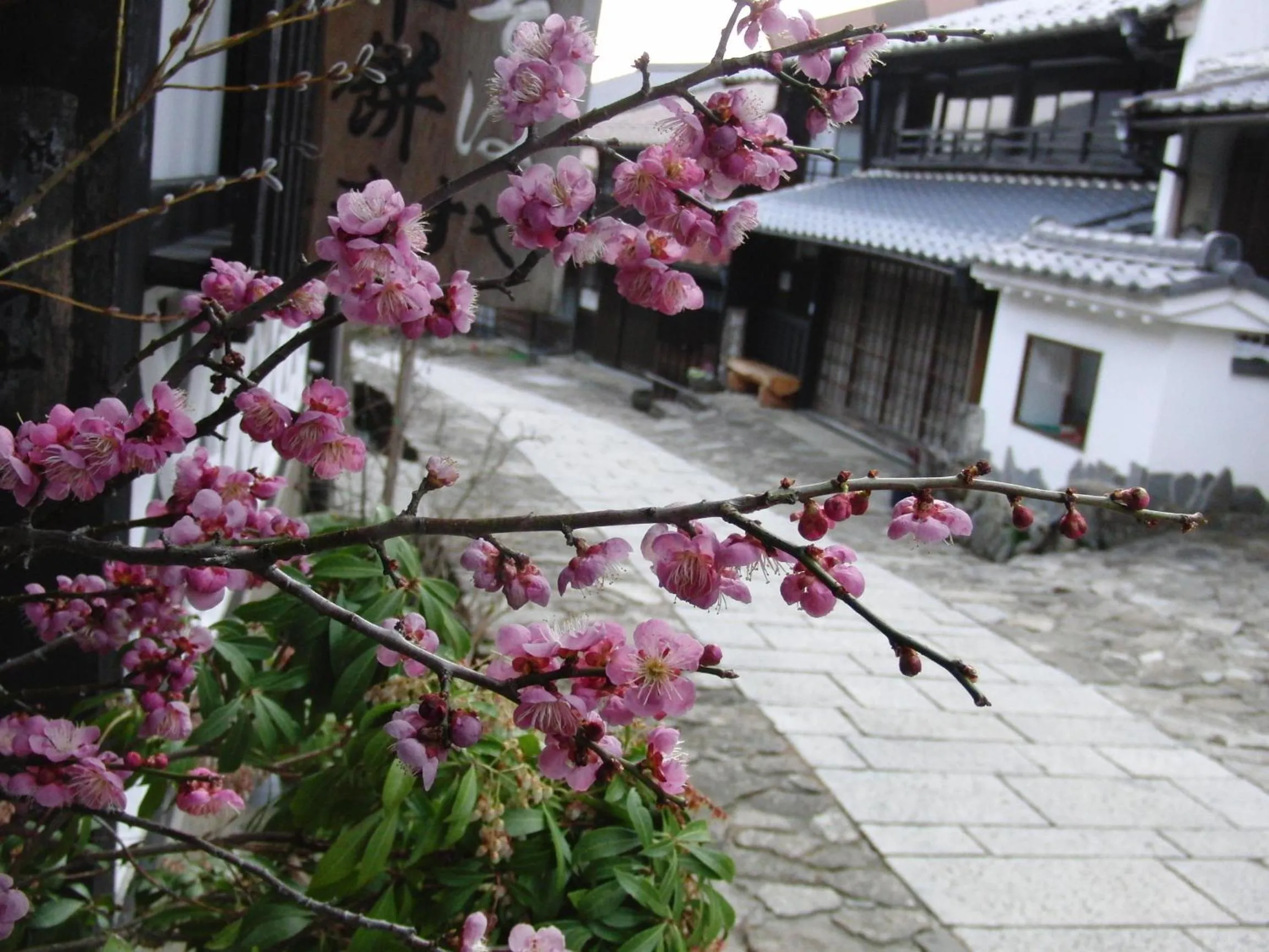 Property building in Tajimaya