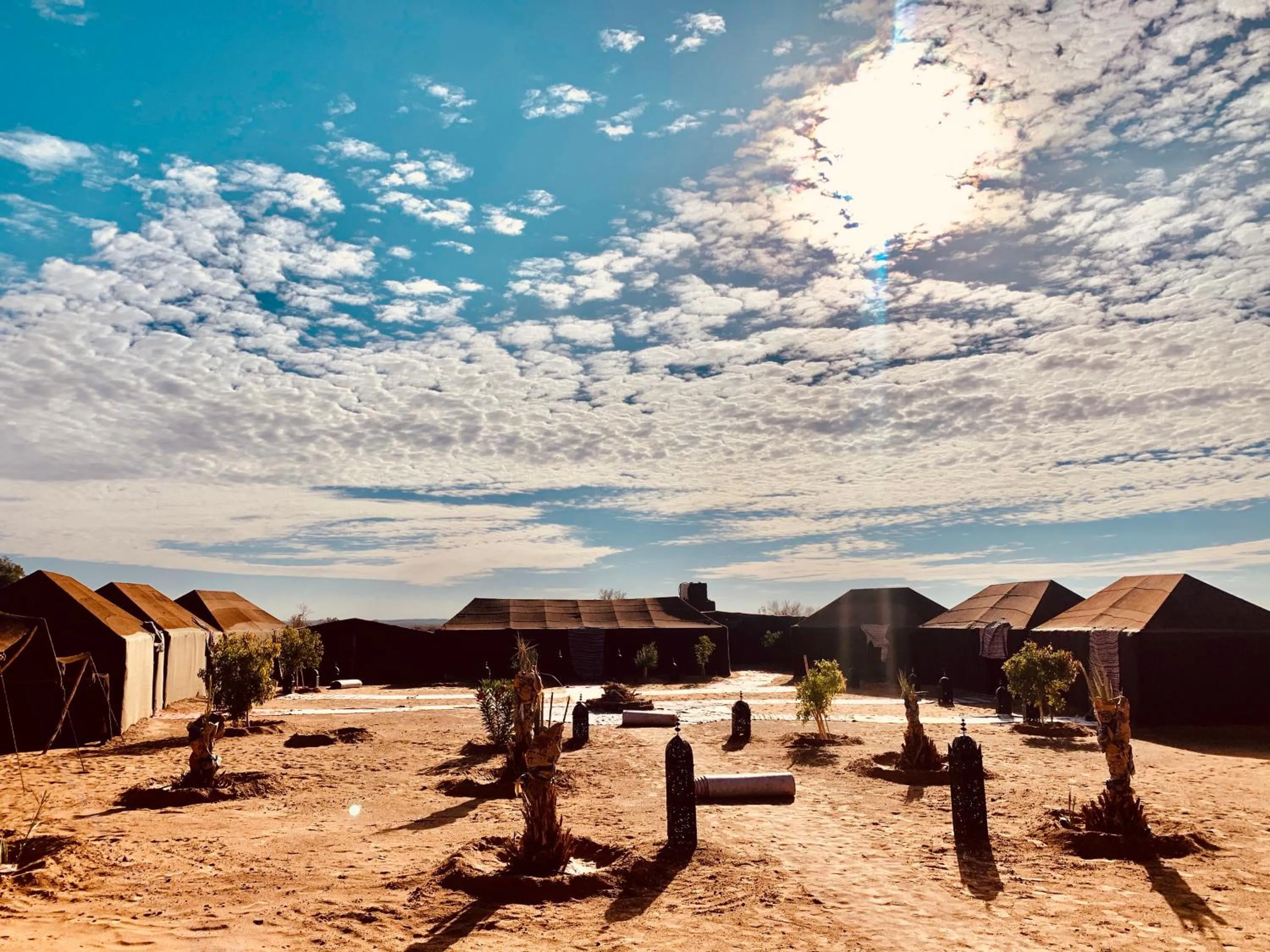 Sunrise in Sahara wellness camp