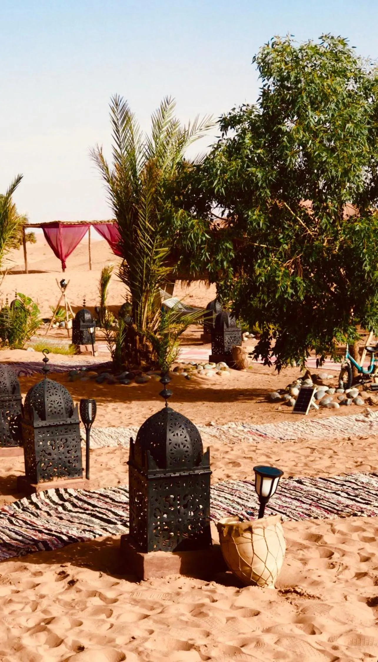 Property building in Sahara wellness camp